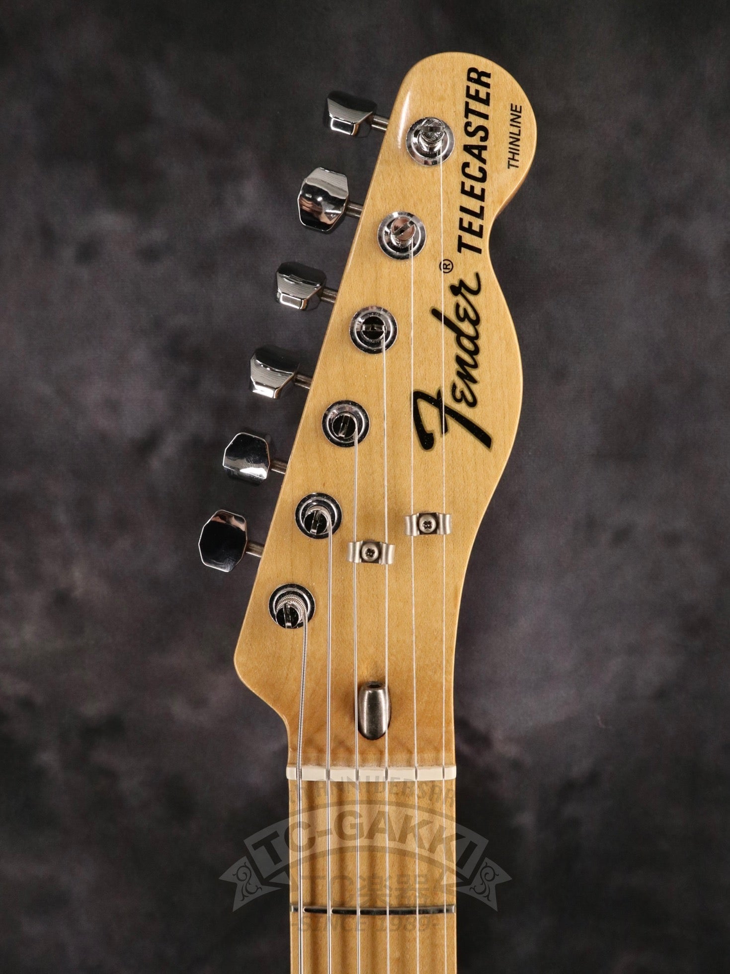 2013 Classic Series 72 Telecaster Thinline - TC楽器 - TCGAKKI