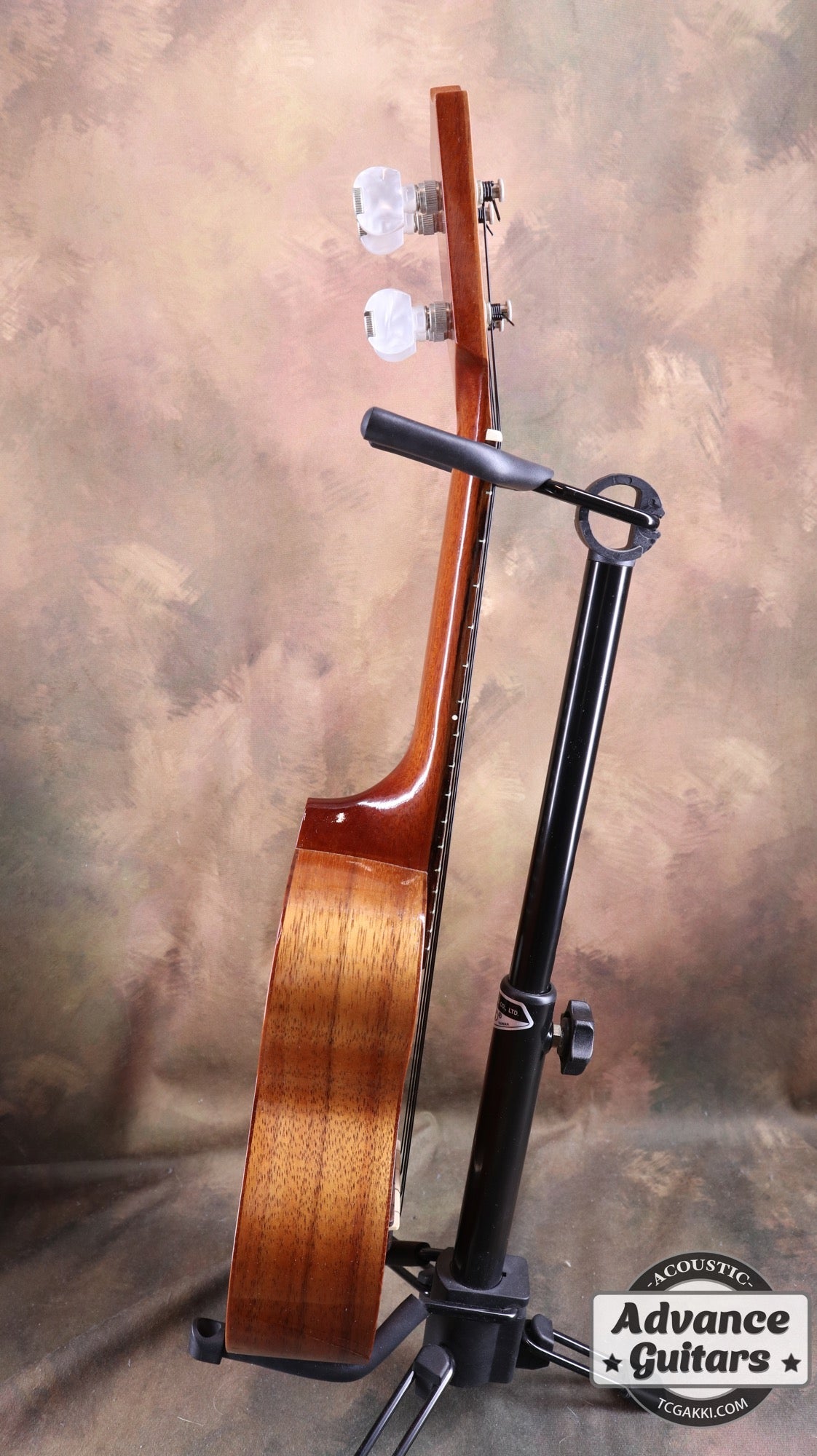 2013年製 HF - 1 - TC楽器 - TCGAKKI