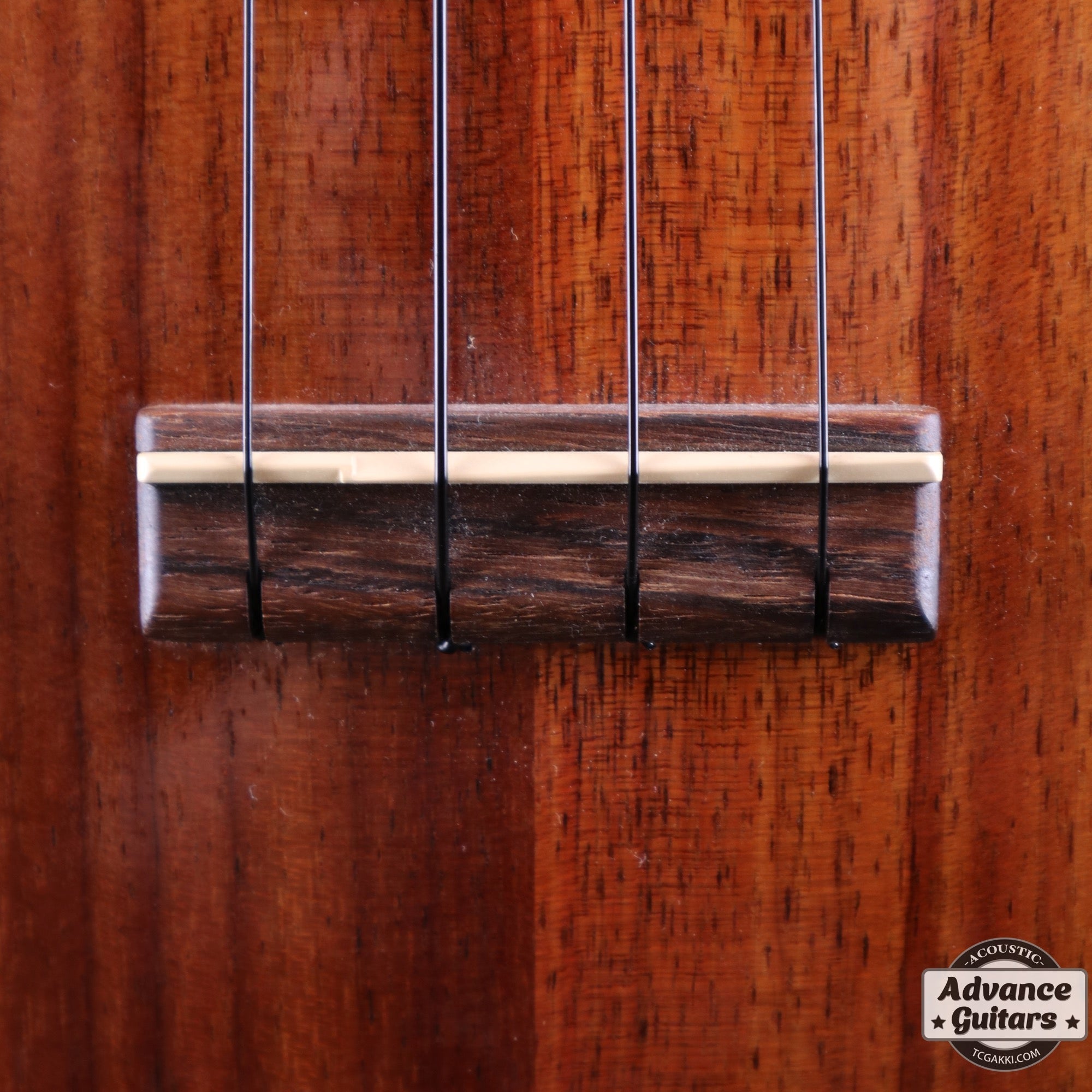 2013年製 HF - 1 - TC楽器 - TCGAKKI