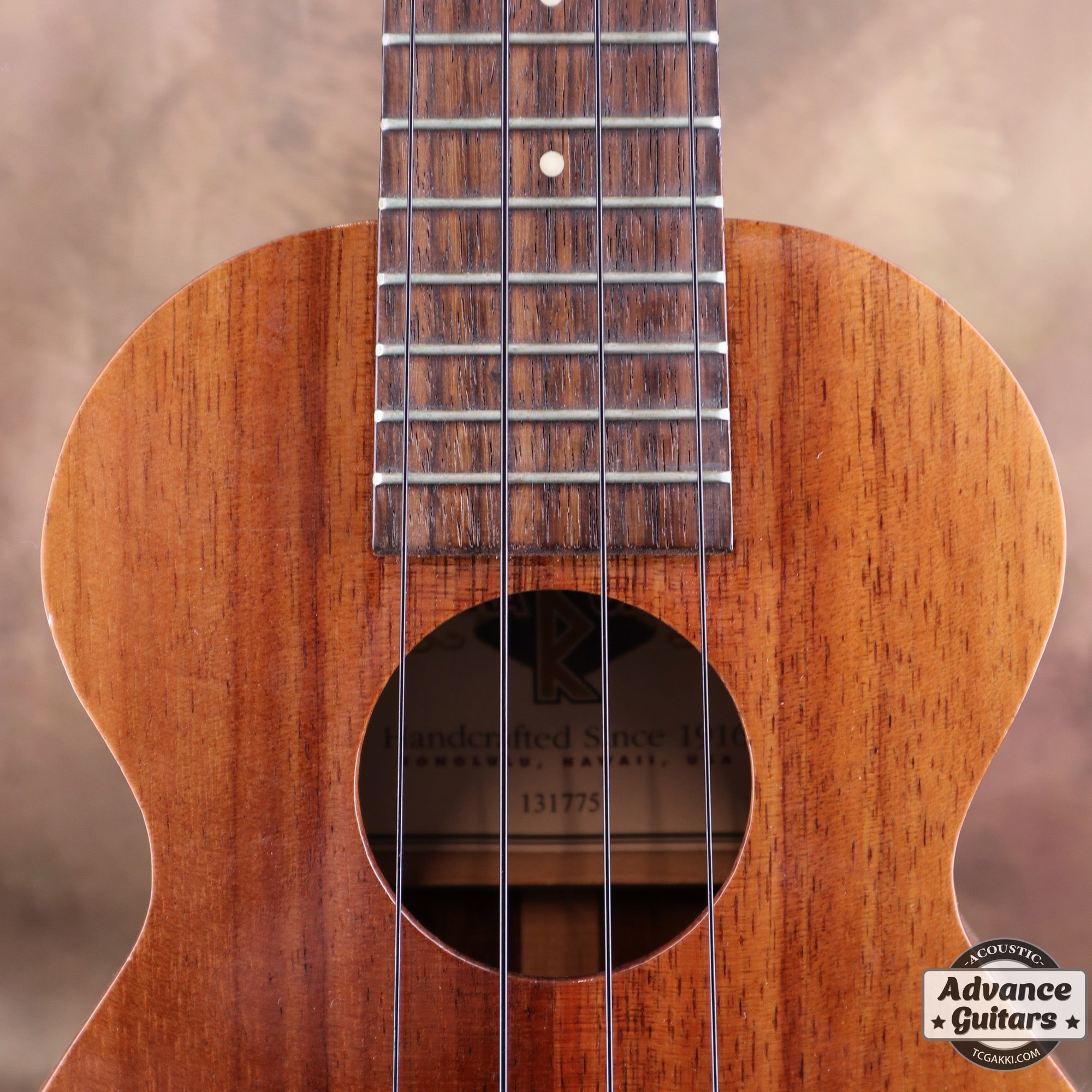 2013年製 HF - 1 - TC楽器 - TCGAKKI