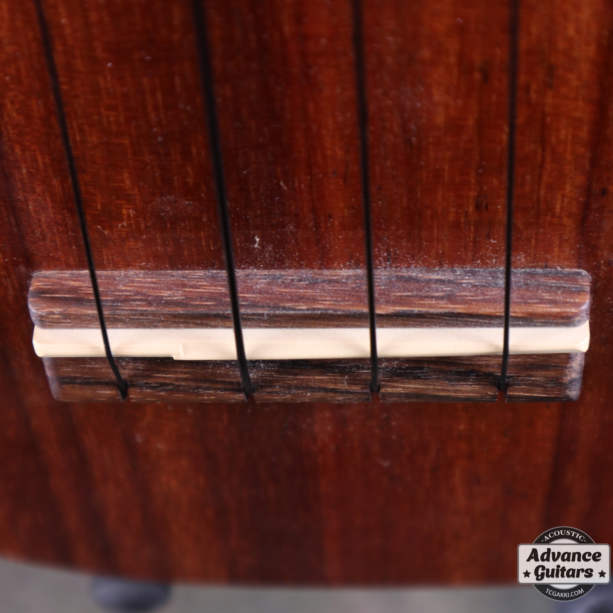 2013年製 HF - 1 - TC楽器 - TCGAKKI