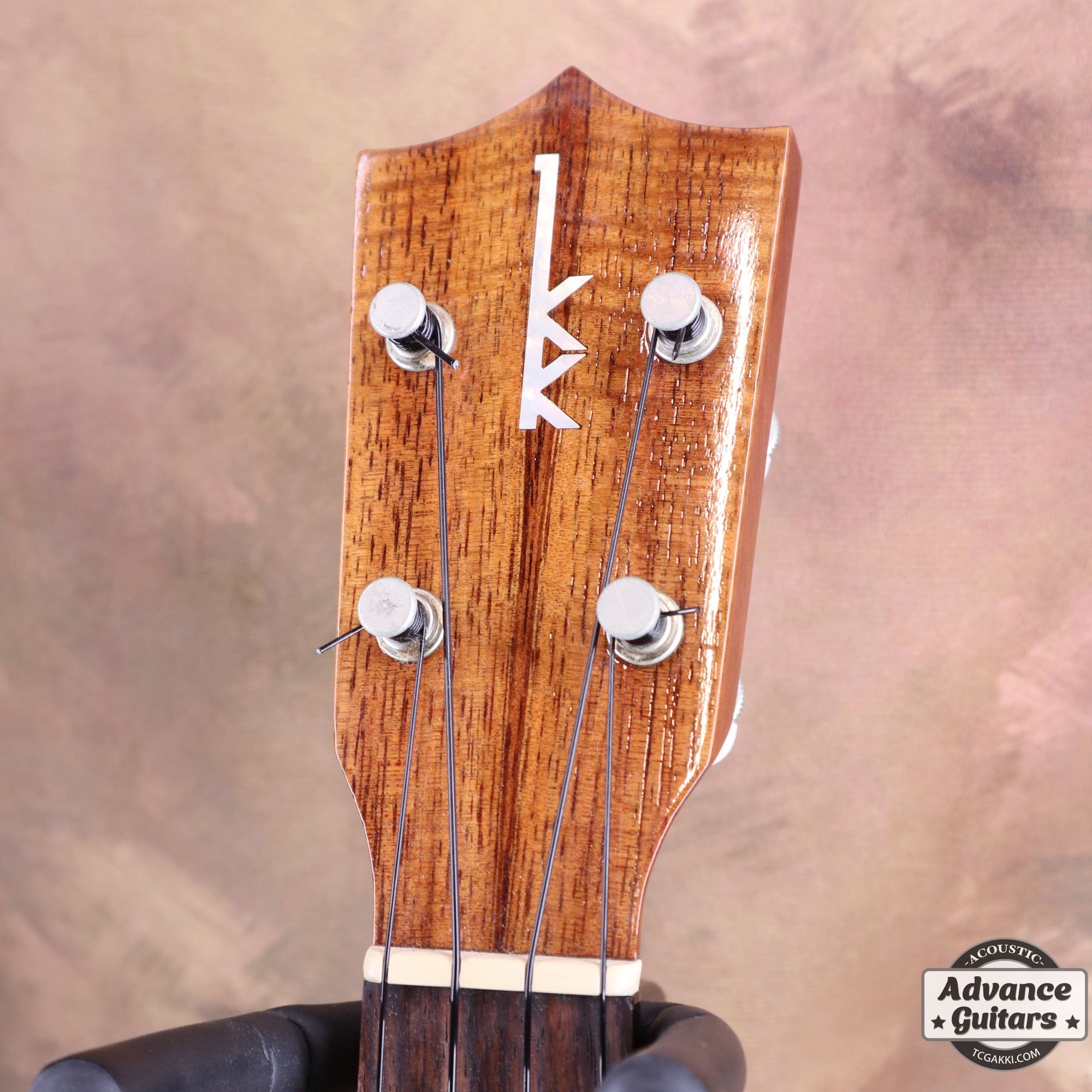 2013年製 HF - 1 - TC楽器 - TCGAKKI