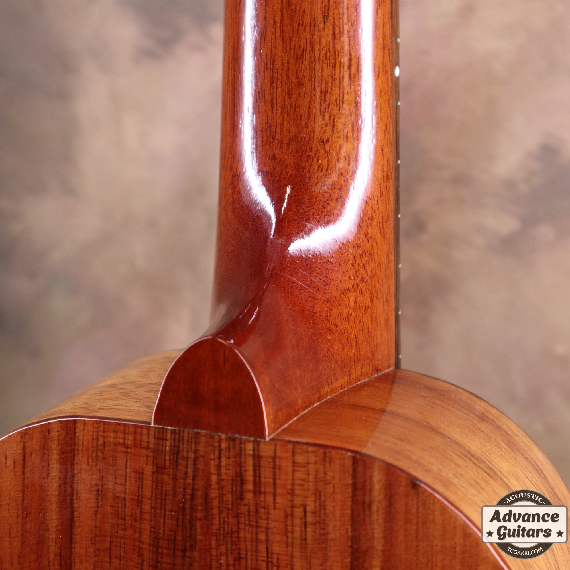 2013年製 HF - 1 - TC楽器 - TCGAKKI