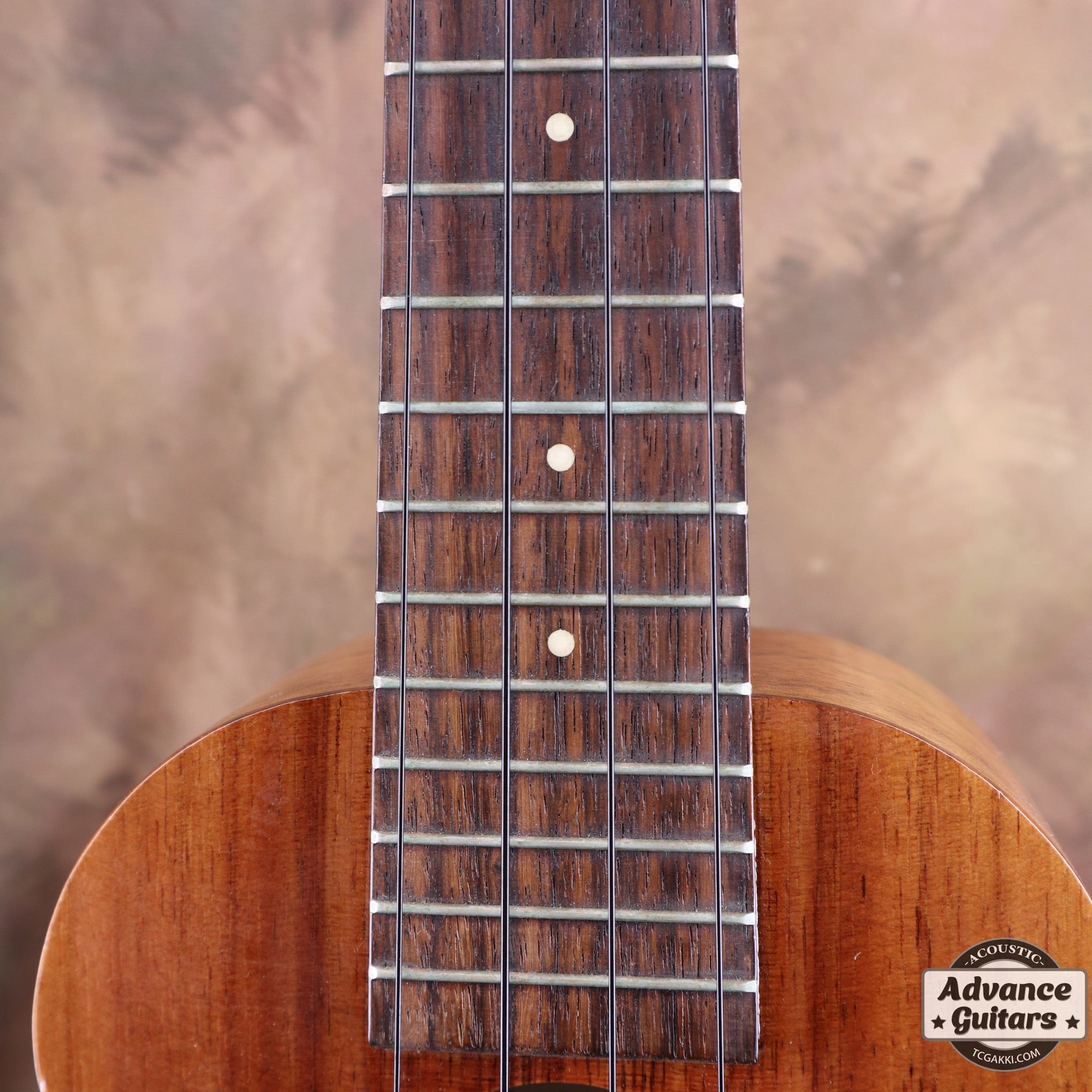 2013年製 HF - 1 - TC楽器 - TCGAKKI