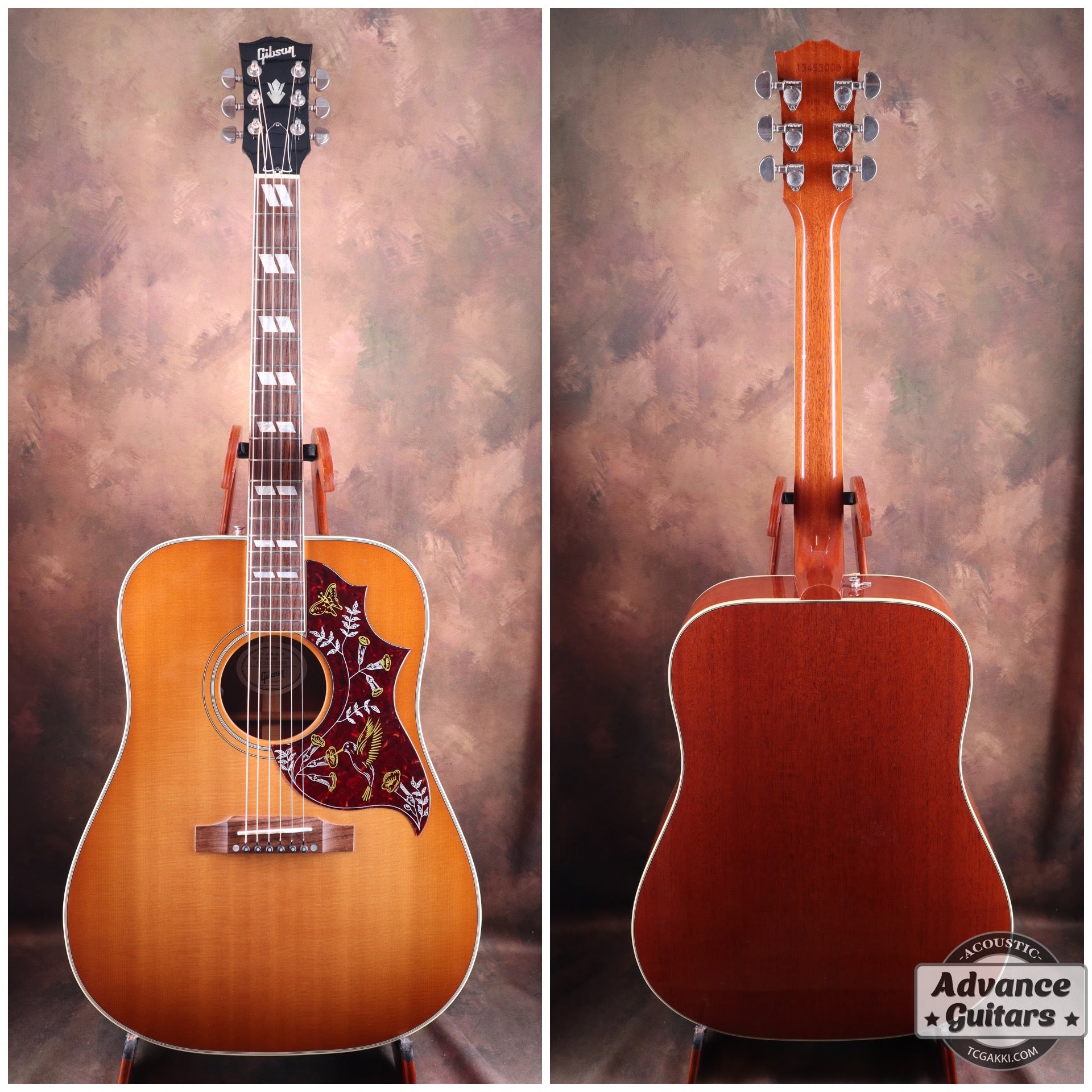 2013 Hummingbird - TC楽器 - TCGAKKI