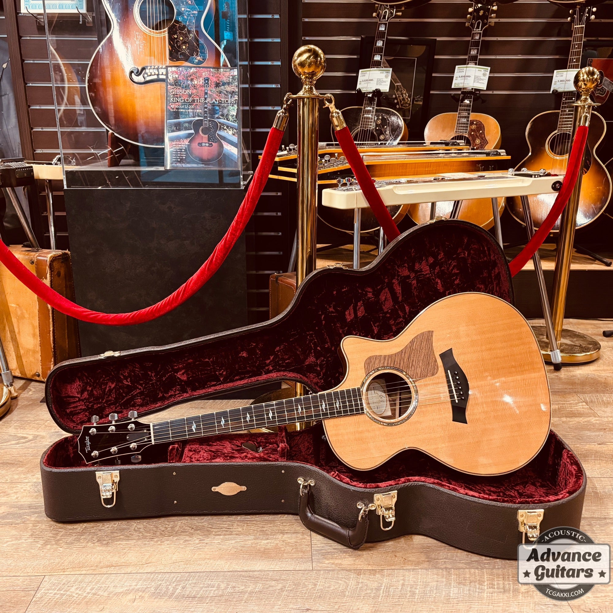 ギター Taylor 2016 Japan Limited 814ce ES-2 ギター Taylor 2016 Japan Limited 814ce ES-2 Acoustic