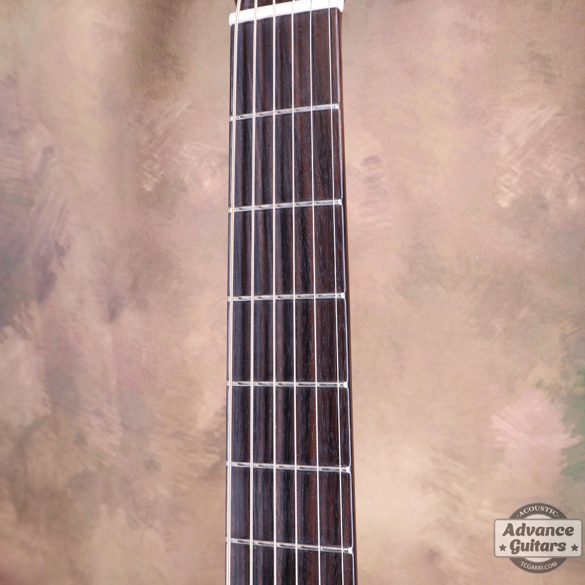 2014年製 BL - 95 - TC楽器 - TCGAKKI