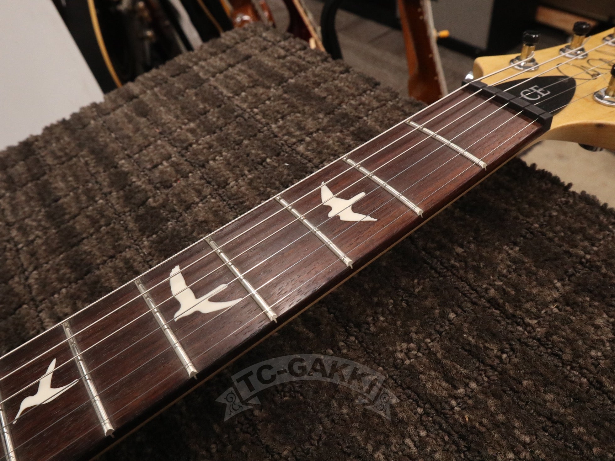 2015 CE24 Amber - TC楽器 - TCGAKKI