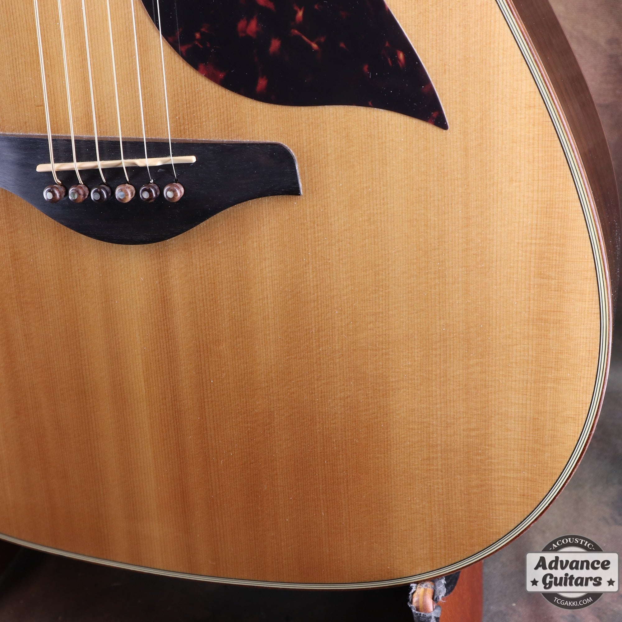 2016年製 A3R ARE - TC楽器 - TCGAKKI