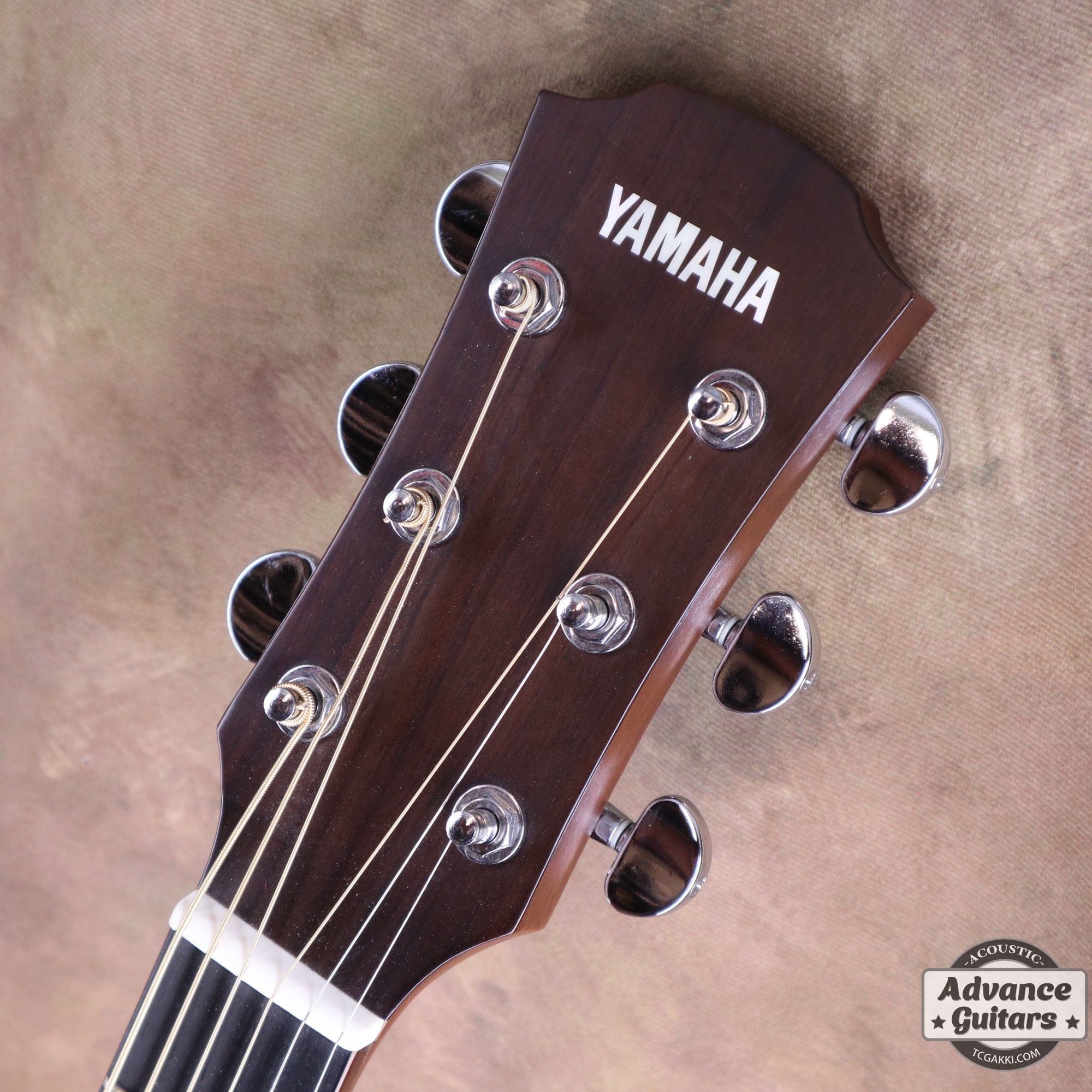 2016年製 A3R ARE - TC楽器 - TCGAKKI