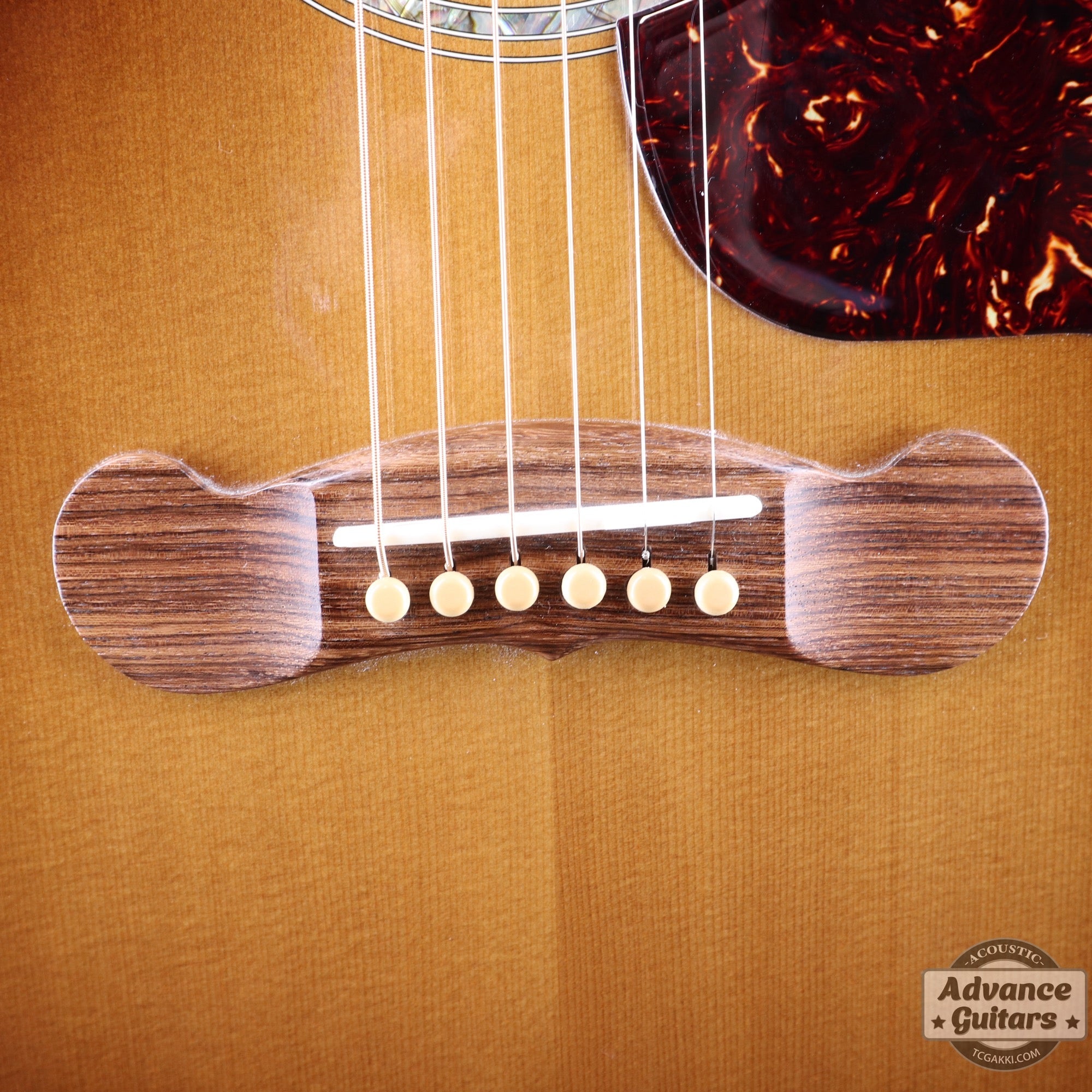 2016年製 Songwriter Mystic - TC楽器 - TCGAKKI