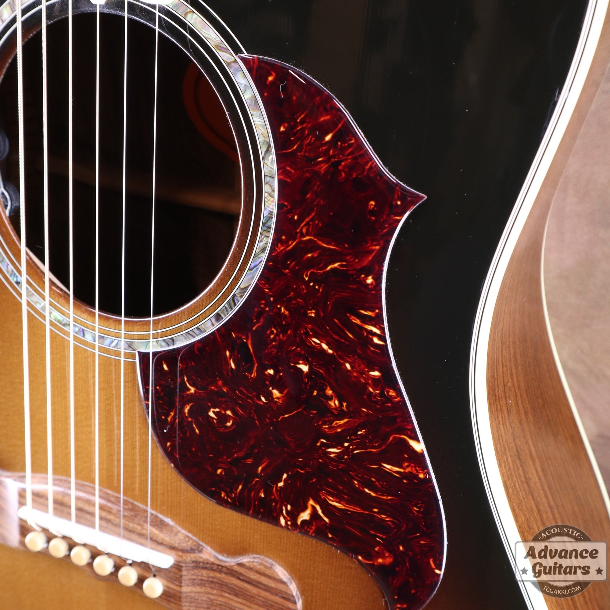 2016年製 Songwriter Mystic - TC楽器 - TCGAKKI