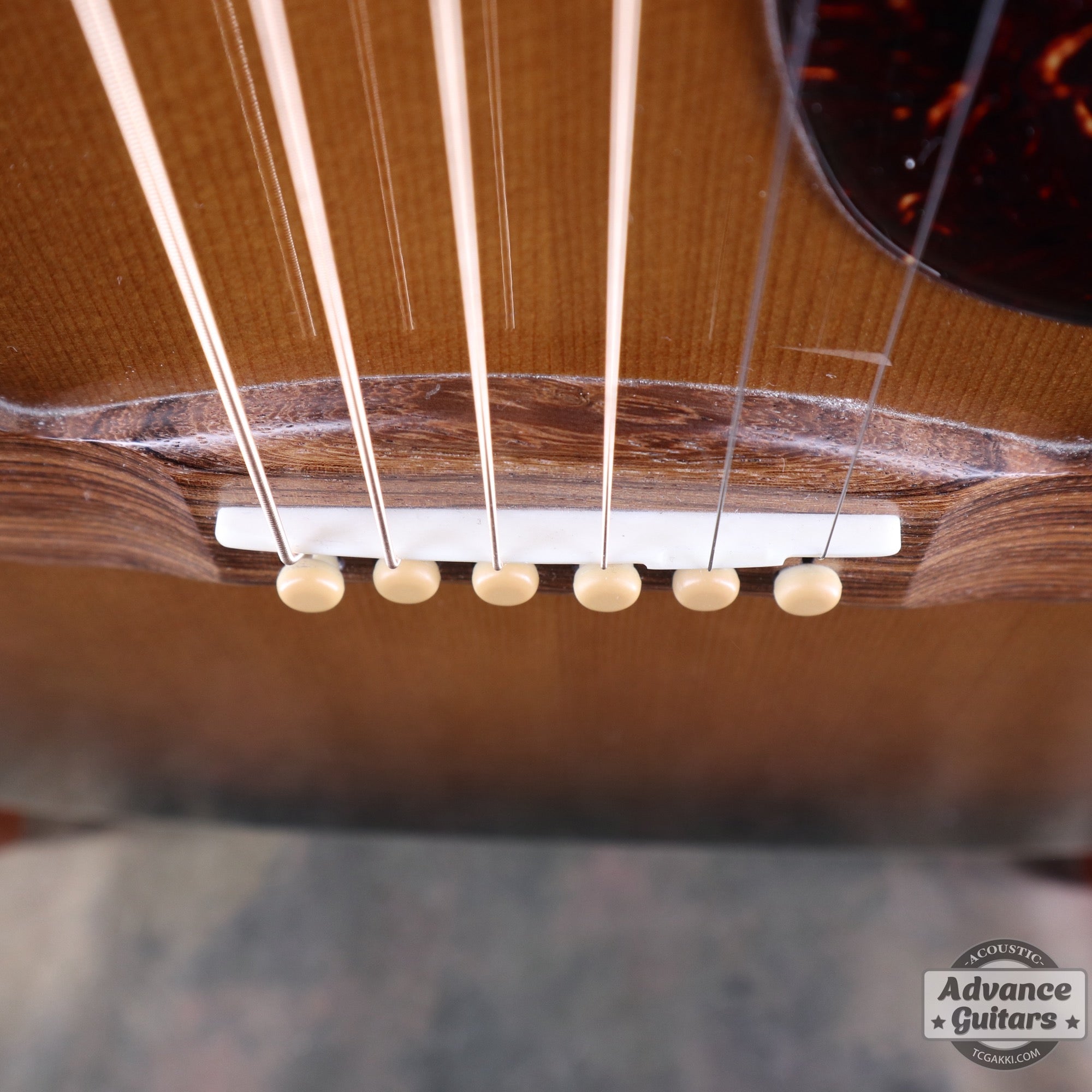 2016年製 Songwriter Mystic - TC楽器 - TCGAKKI