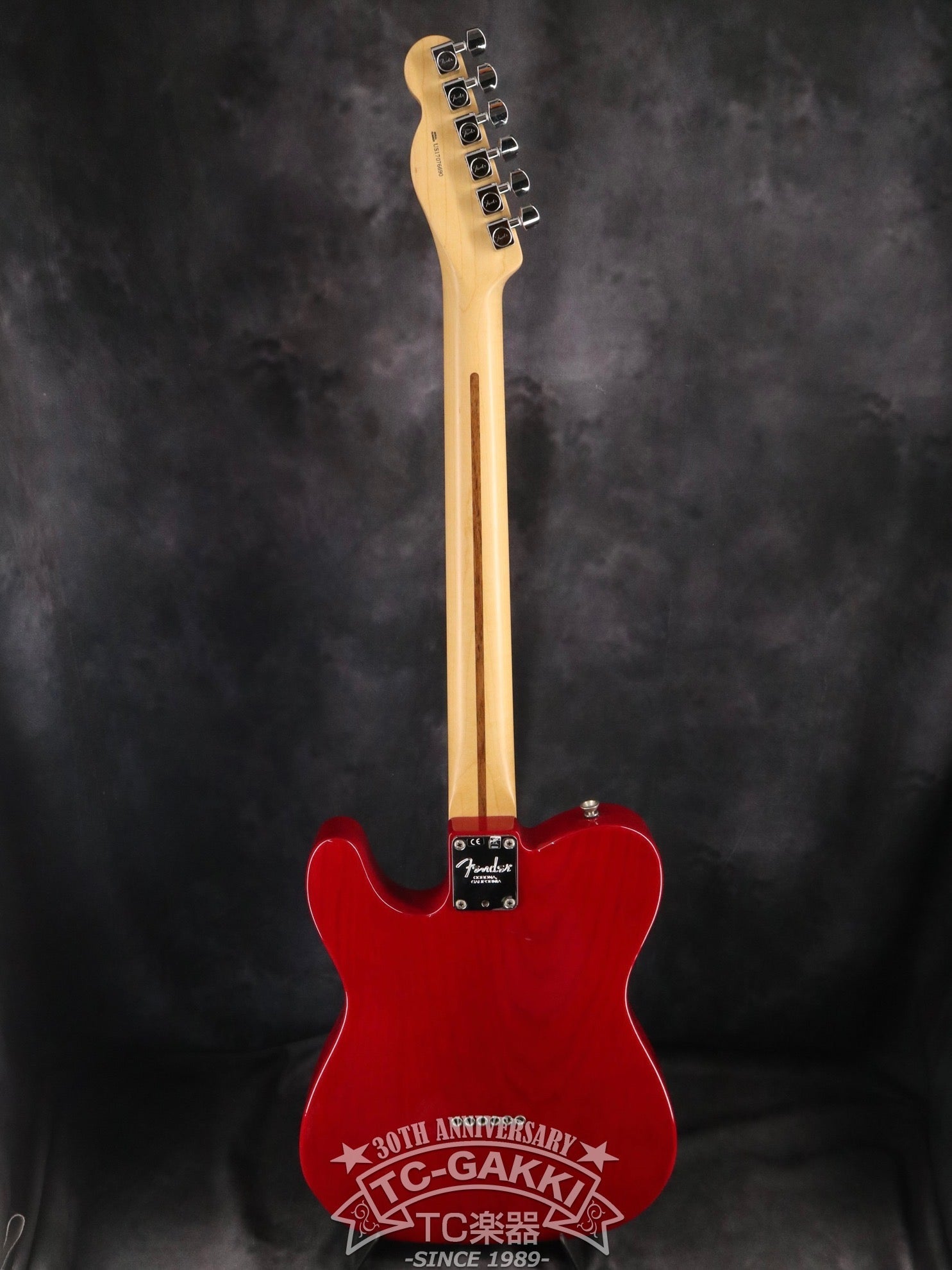 2017 American Professional Telecaster - TC楽器 - TCGAKKI