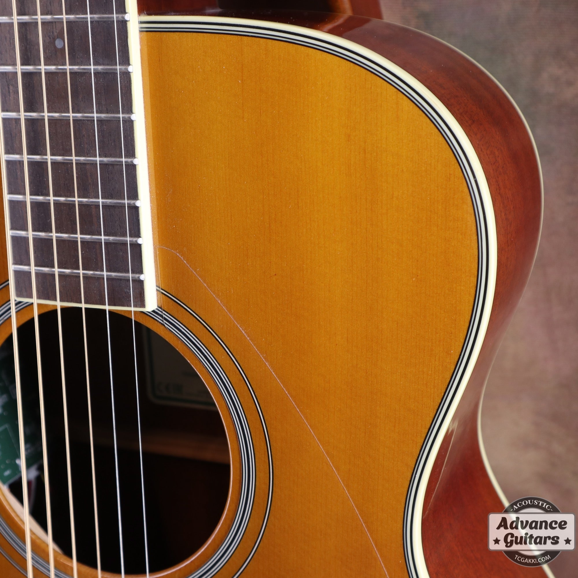 2017年製 FS - TA - TC楽器 - TCGAKKI