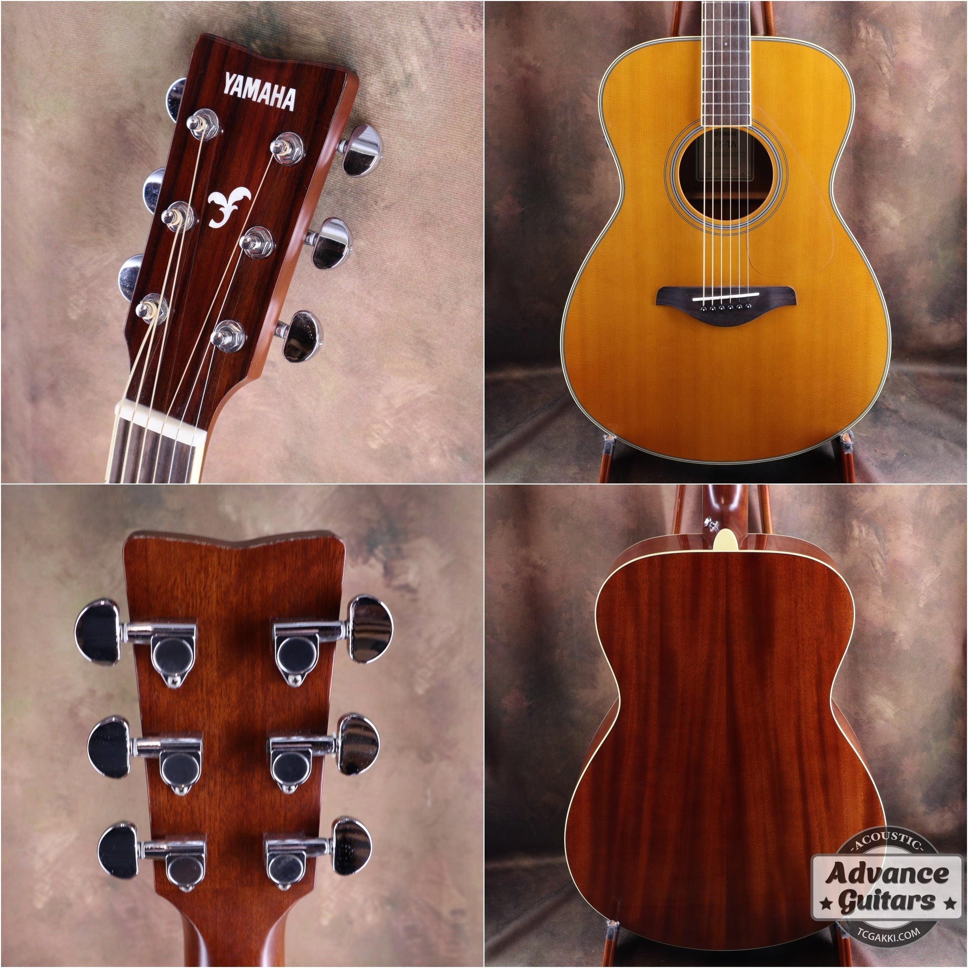 2017年製 FS - TA - TC楽器 - TCGAKKI