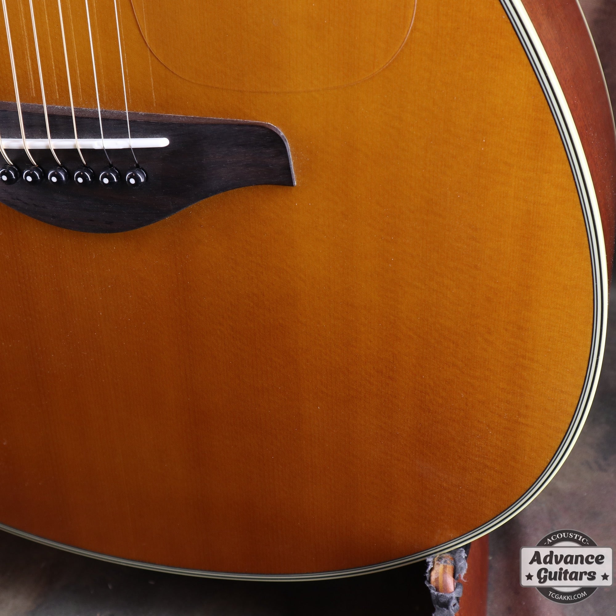 2017年製 FS - TA - TC楽器 - TCGAKKI