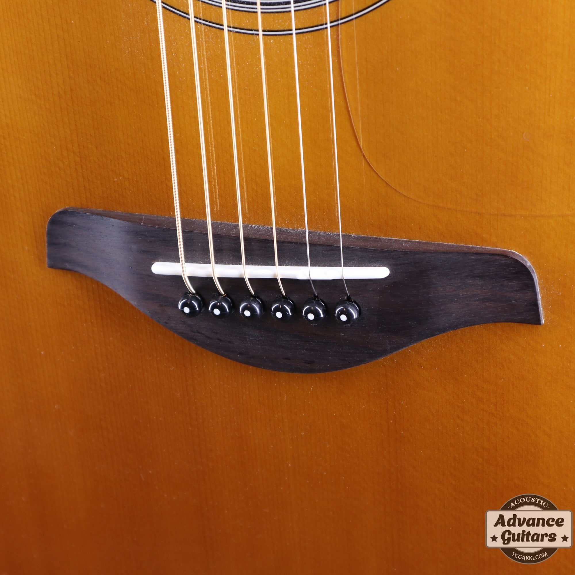 2017年製 FS - TA - TC楽器 - TCGAKKI