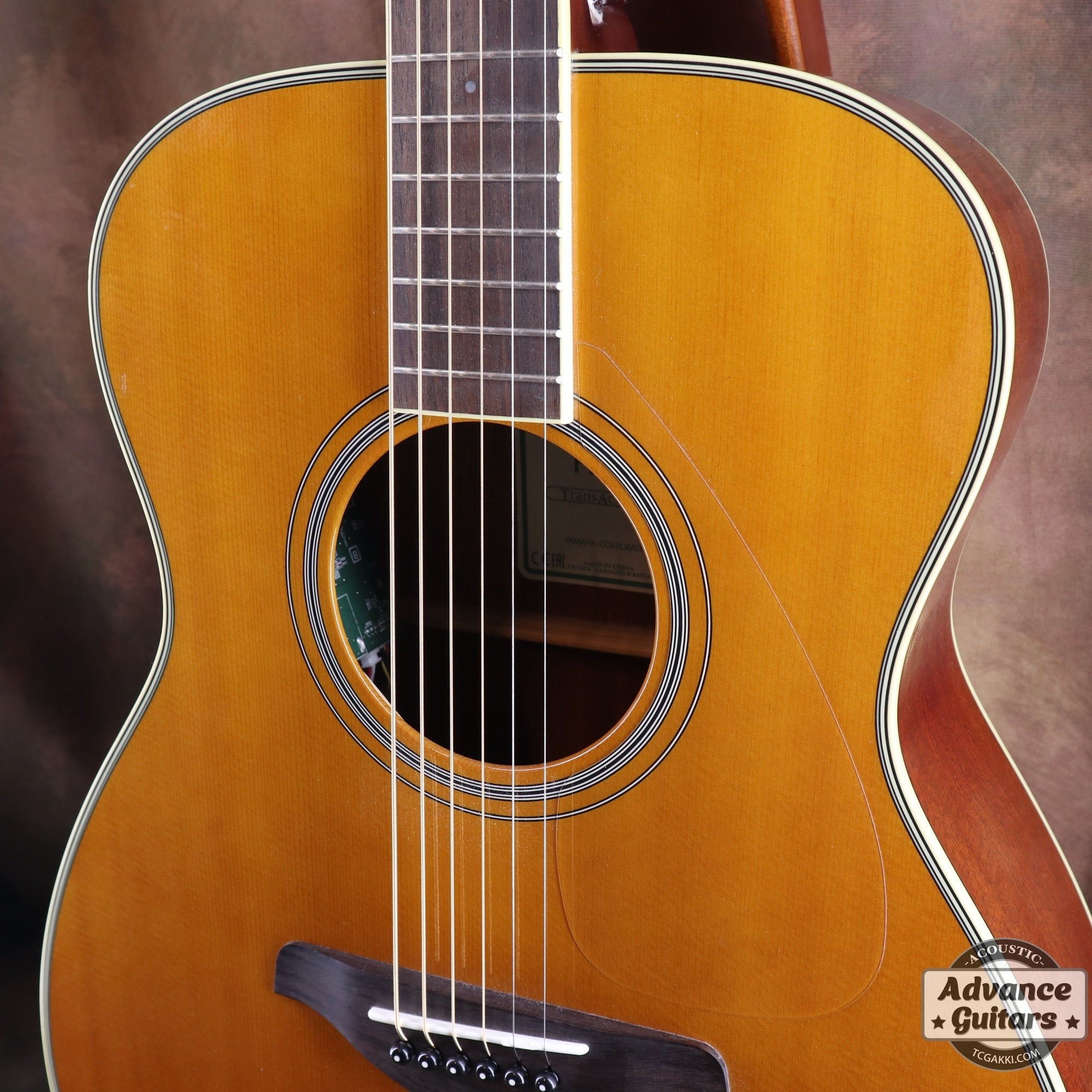 2017年製 FS - TA - TC楽器 - TCGAKKI