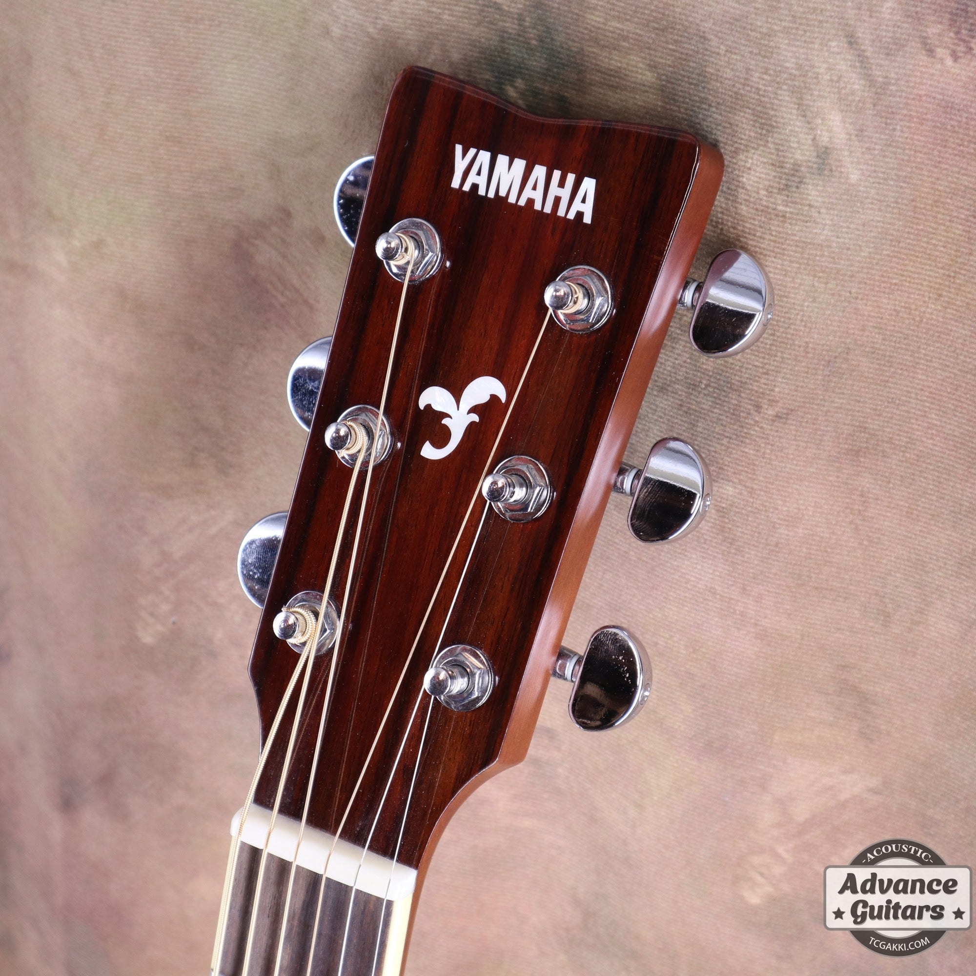 2017年製 FS - TA - TC楽器 - TCGAKKI