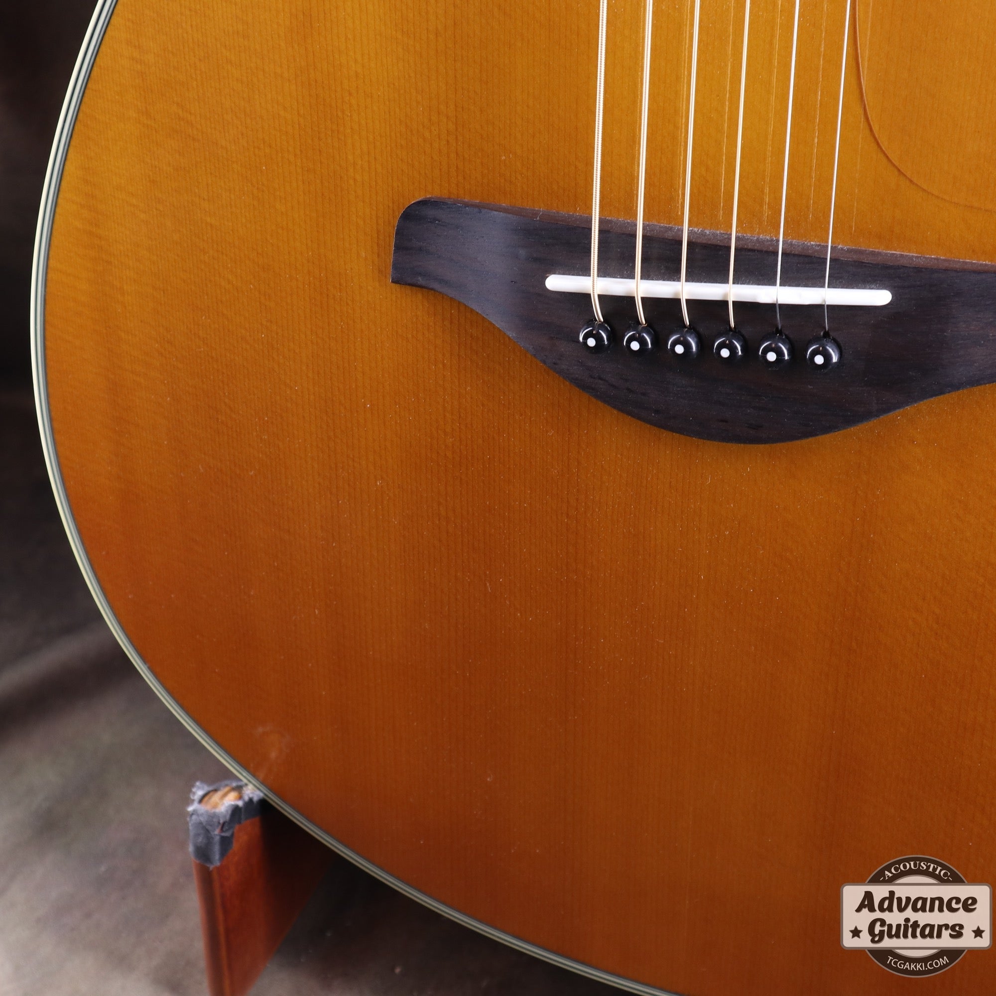 2017年製 FS - TA - TC楽器 - TCGAKKI