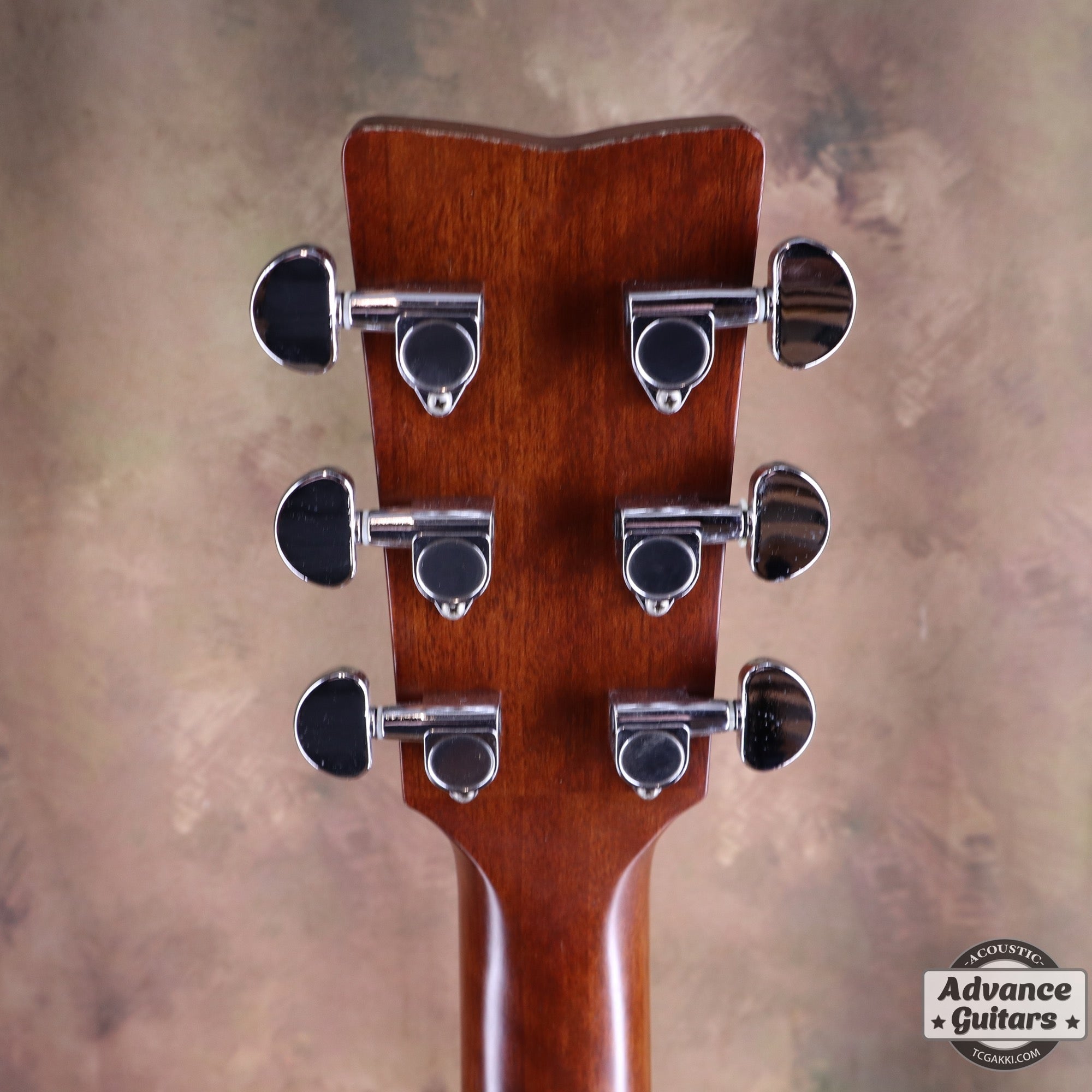 2017年製 FS - TA - TC楽器 - TCGAKKI