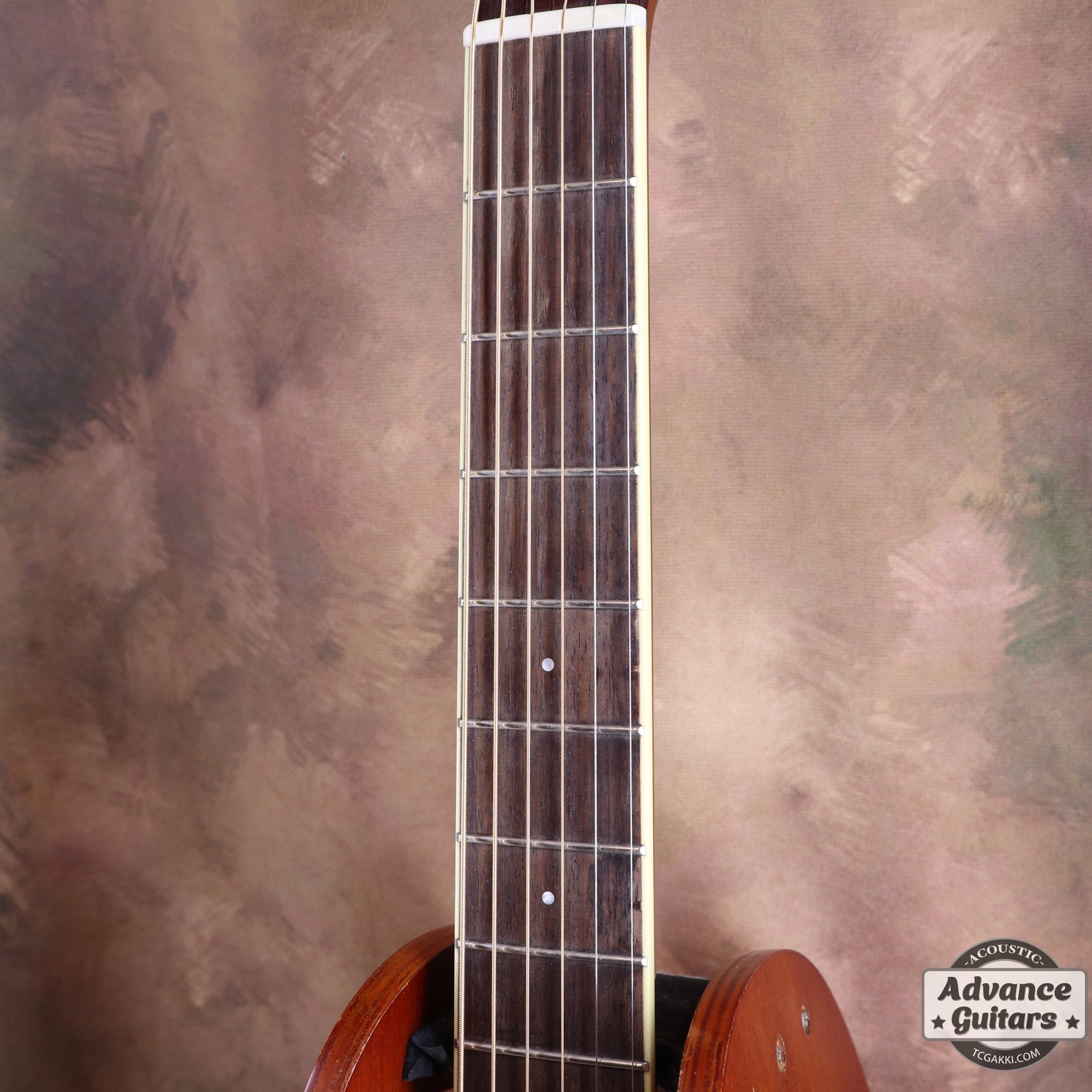 2017年製 FS - TA - TC楽器 - TCGAKKI