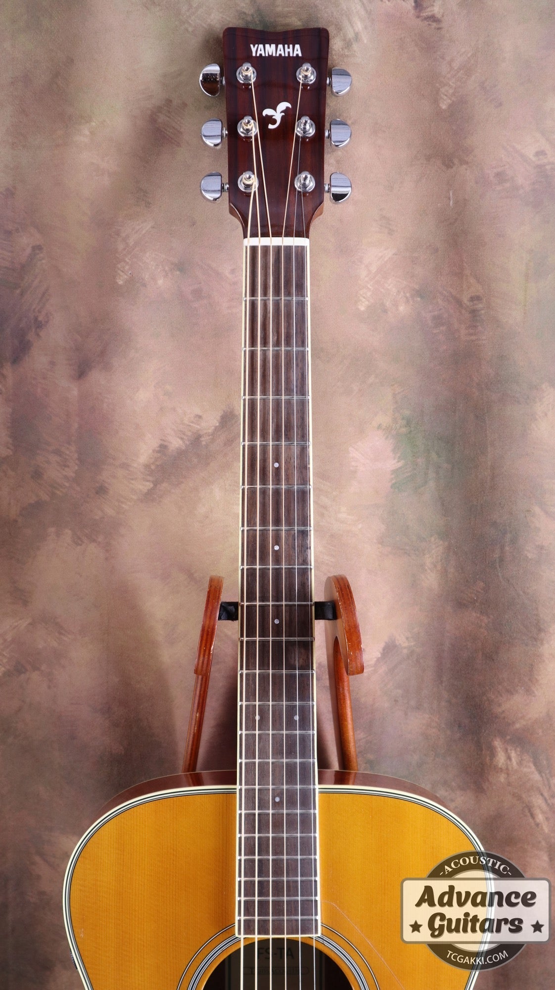 2017年製 FS - TA - TC楽器 - TCGAKKI