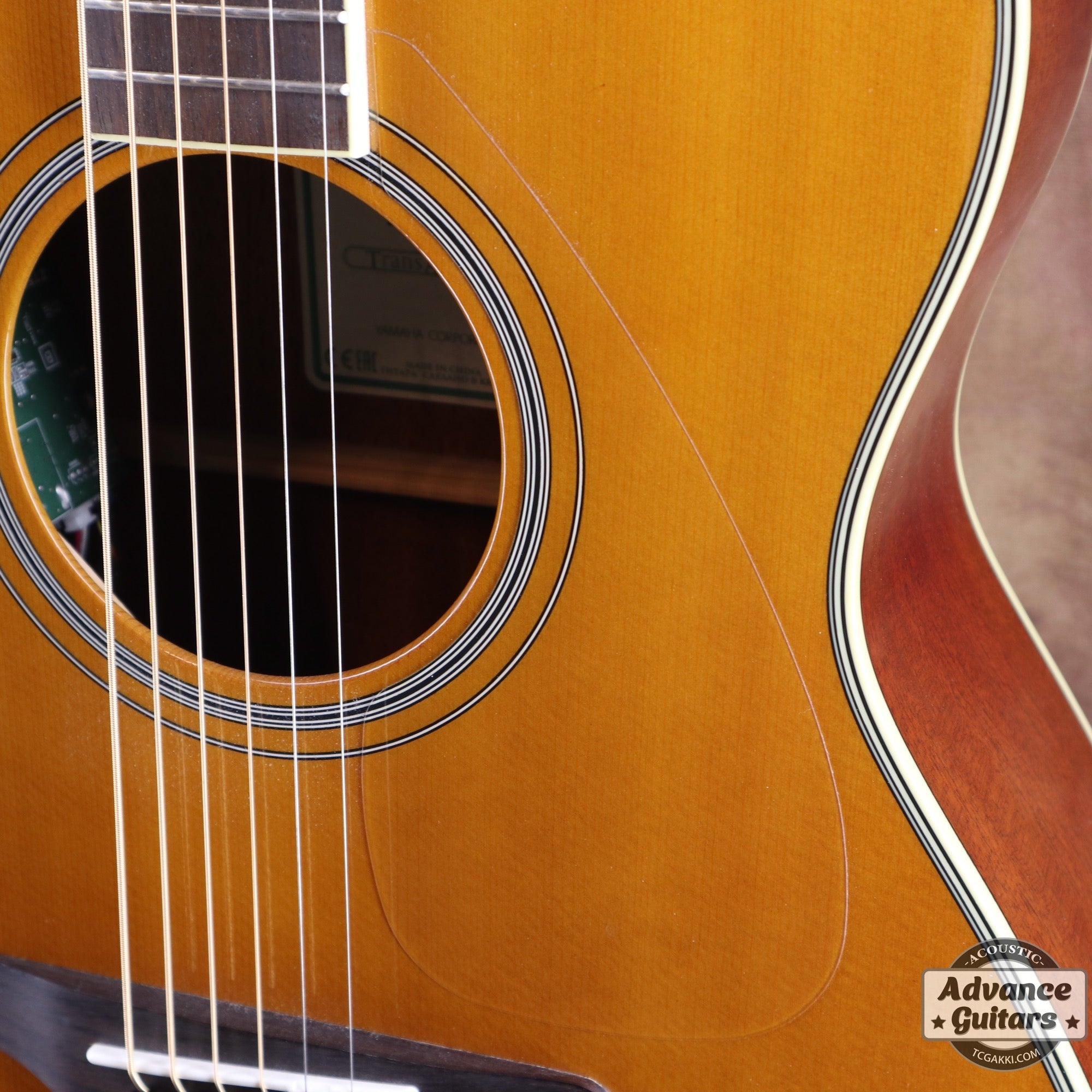 2017年製 FS - TA - TC楽器 - TCGAKKI