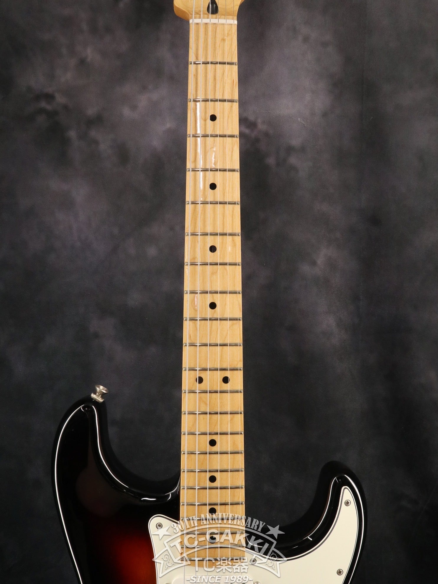 2017 Player Stratocaster - TC楽器 - TCGAKKI