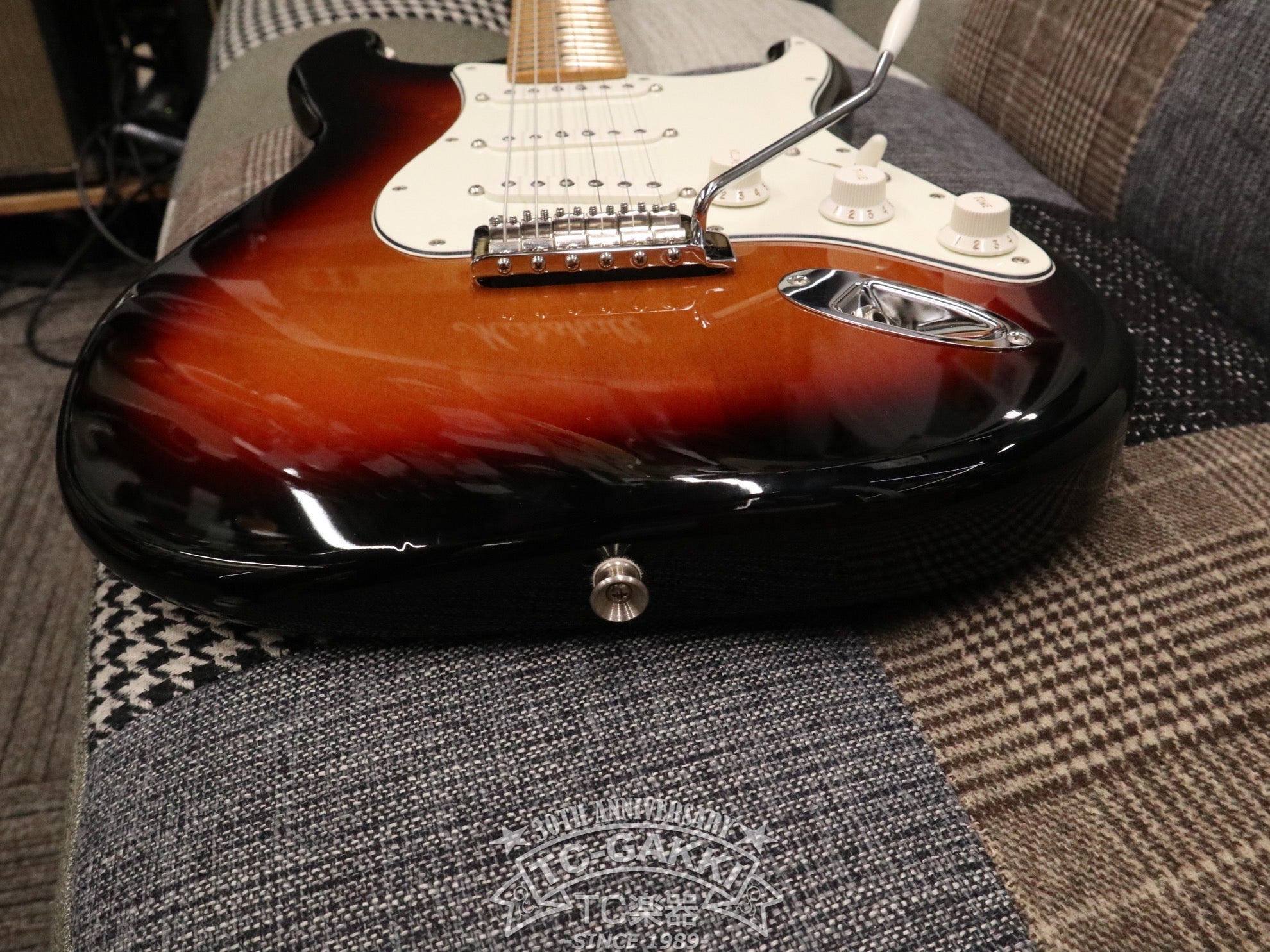 2017 Player Stratocaster - TC楽器 - TCGAKKI