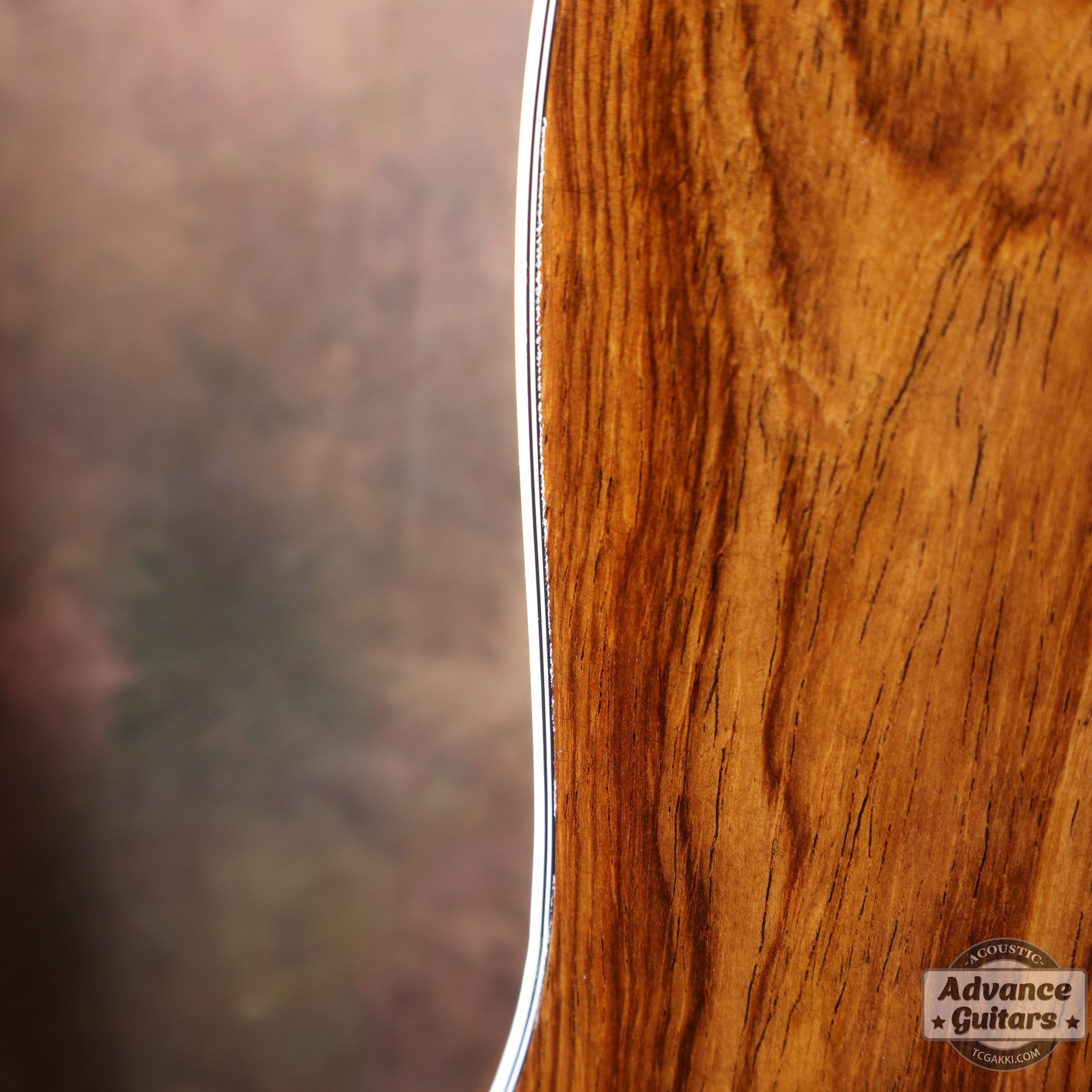 2018年製 CTM D - 28 Guatemalan Rosewood - TC楽器 - TCGAKKI