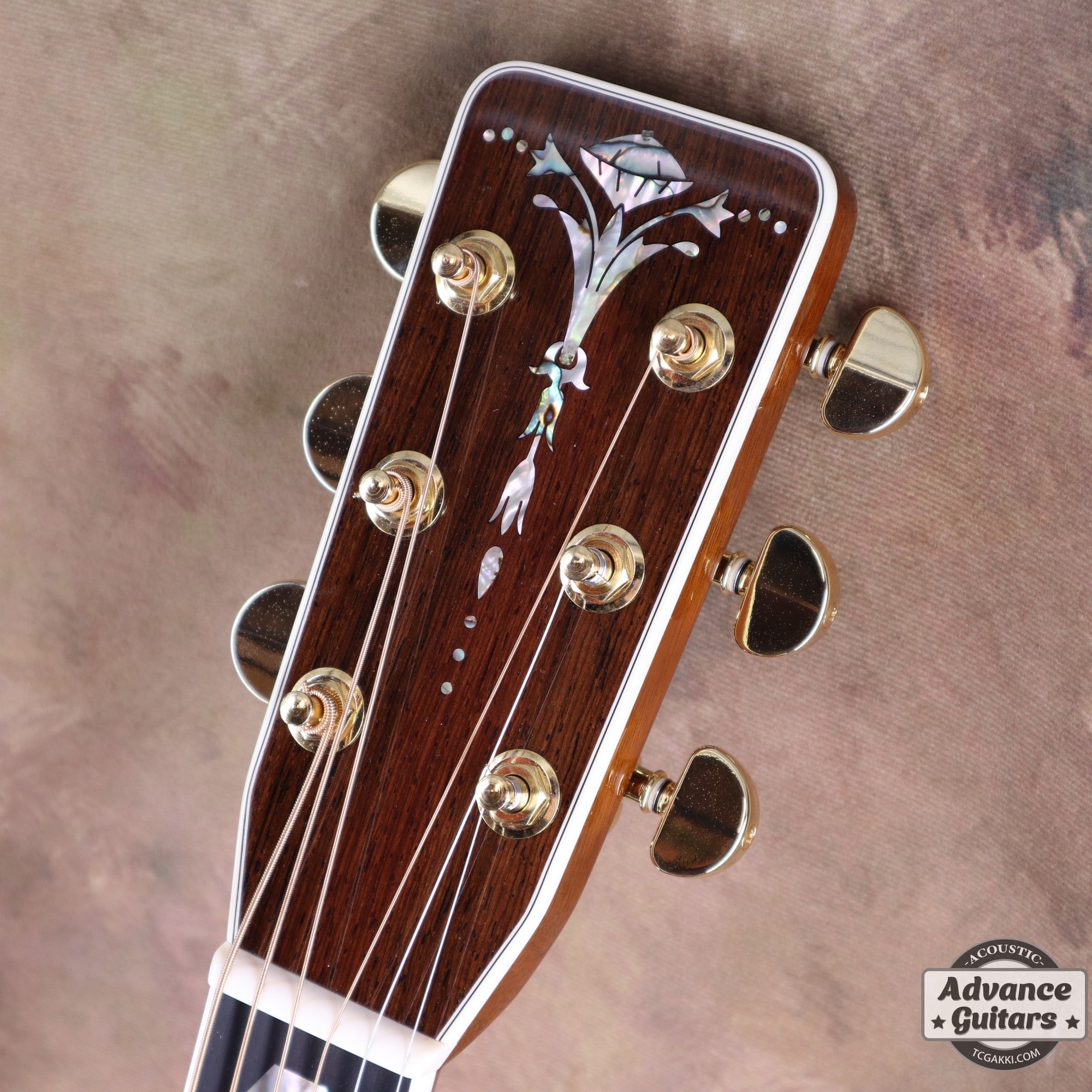 2018年製 HD-450 Custom - TC楽器 - TCGAKKI
