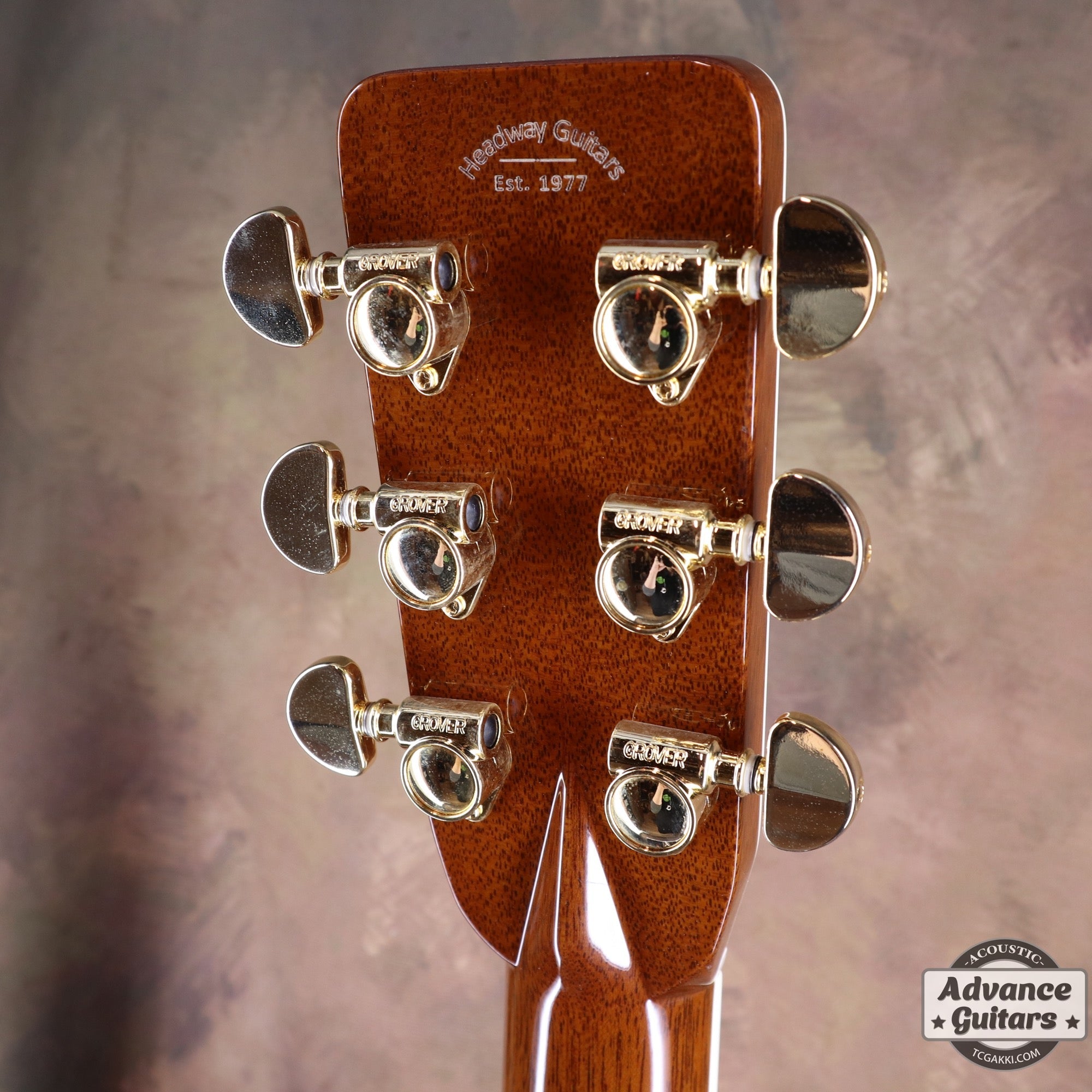 2018年製 HD - 450 Custom - TC楽器 - TCGAKKI