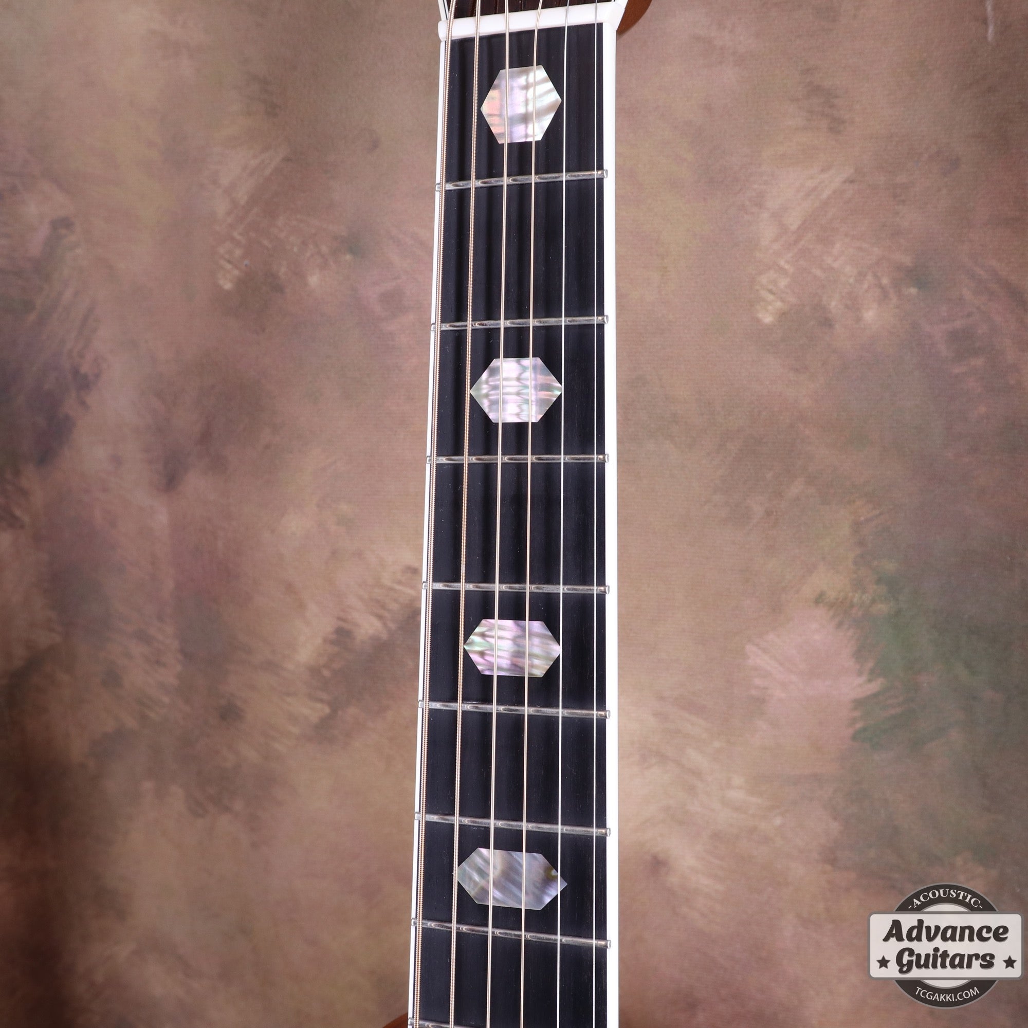 2018年製 HD - 450 Custom - TC楽器 - TCGAKKI