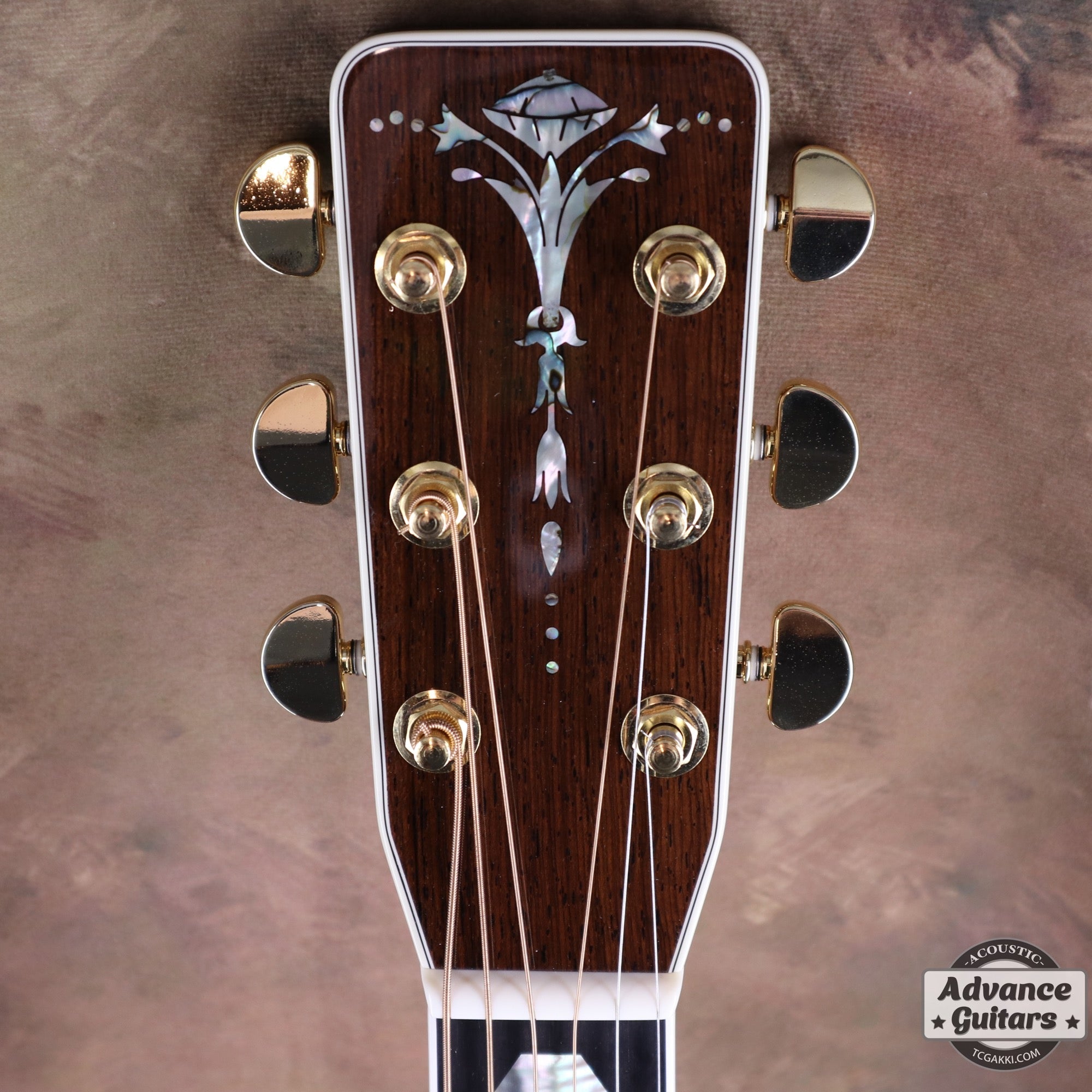 2018年製 HD - 450 Custom - TC楽器 - TCGAKKI