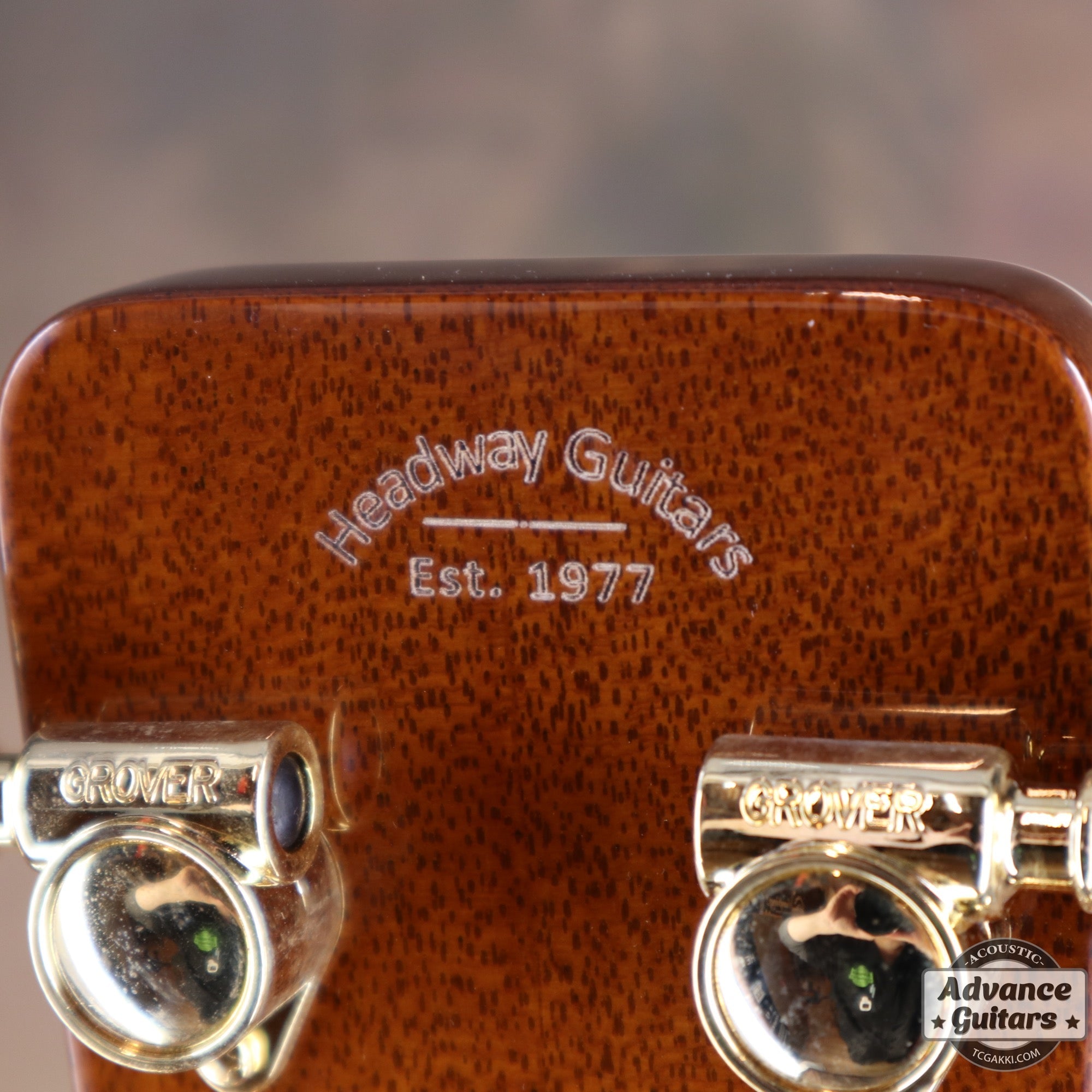 2018年製 HD - 450 Custom - TC楽器 - TCGAKKI