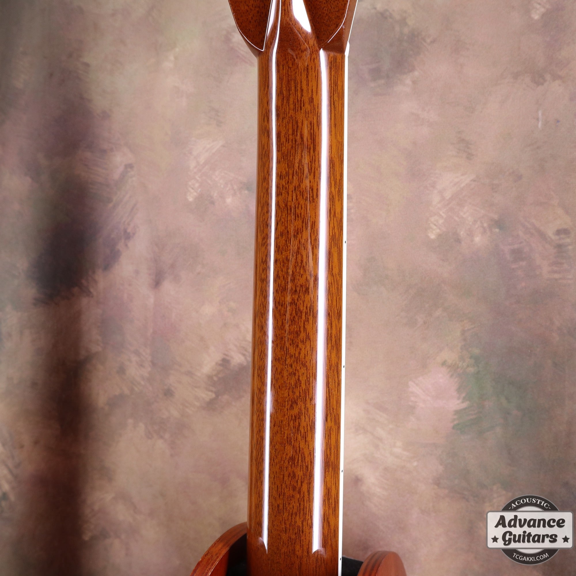 2018年製 HD - 450 Custom - TC楽器 - TCGAKKI