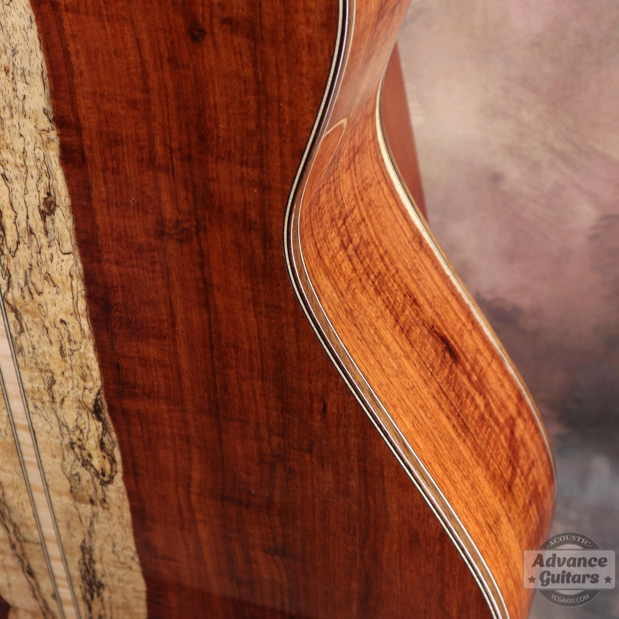 2019年製 97 OM the "Nine - Tailed Fox" - TC楽器 - TCGAKKI