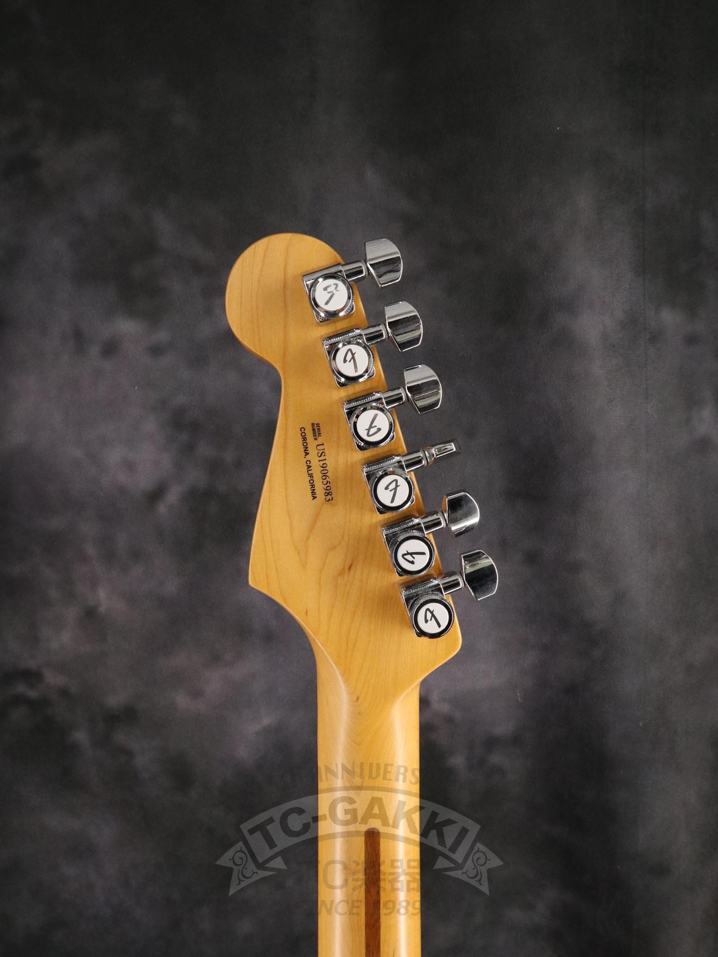 2019 American Ultra Stratocaster - TC楽器 - TCGAKKI