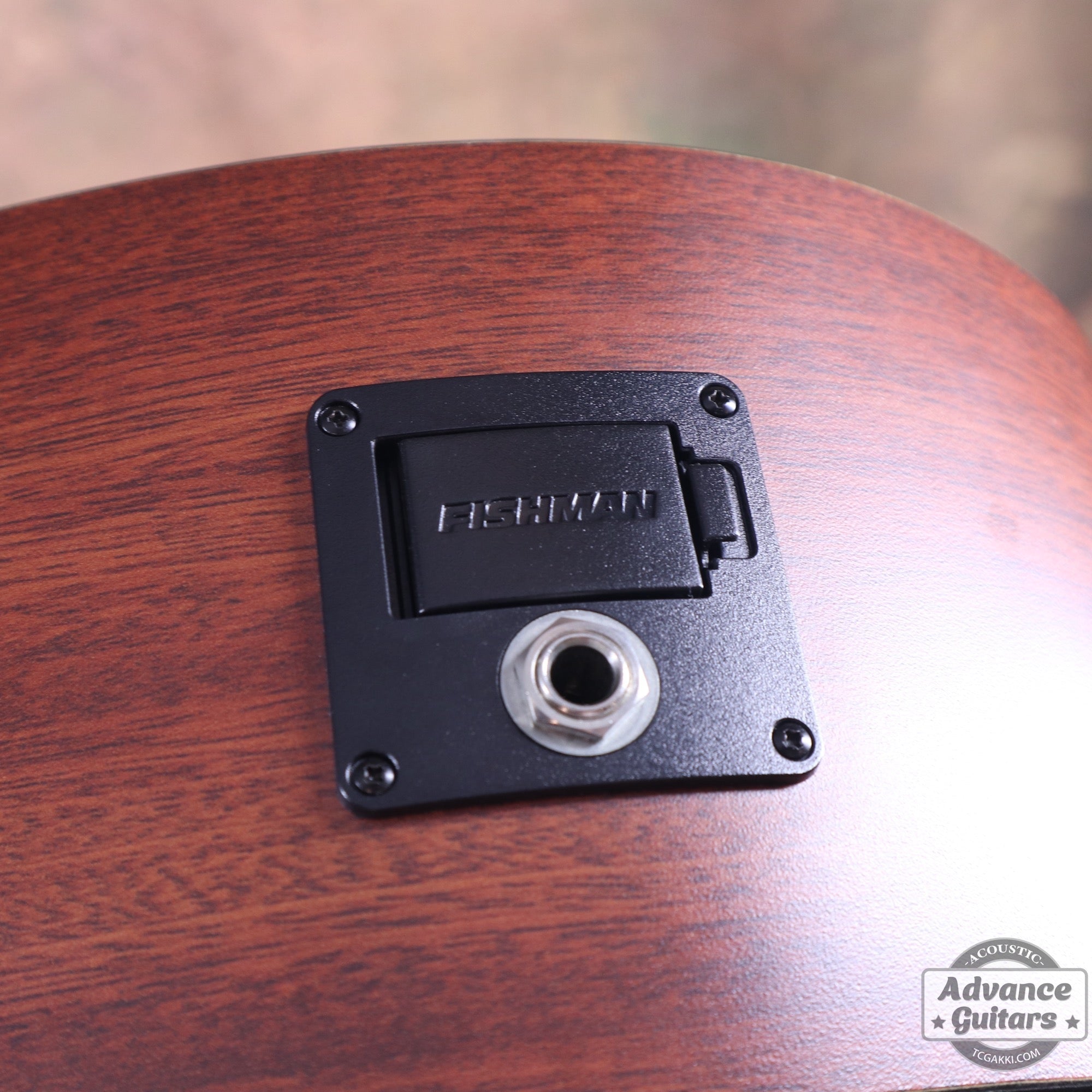 2019年製 DXM - TC楽器 - TCGAKKI