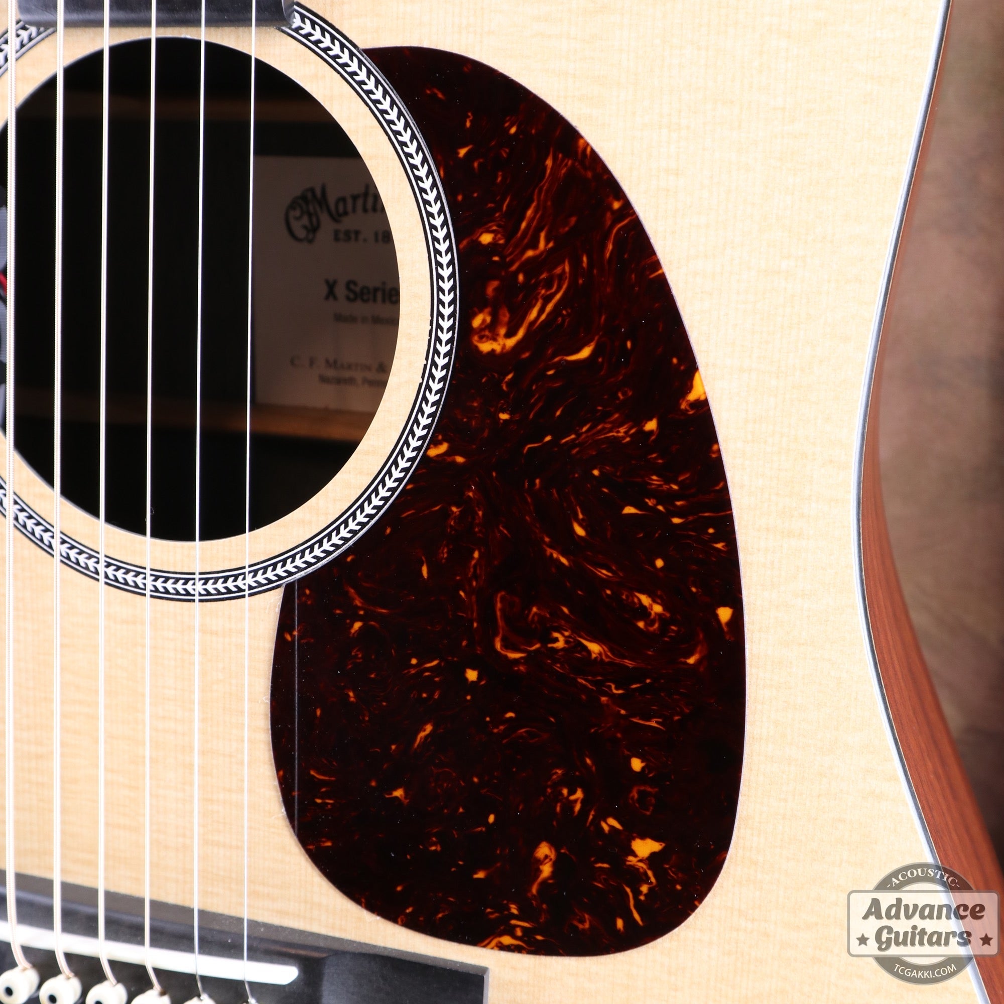 2019年製 DXM - TC楽器 - TCGAKKI