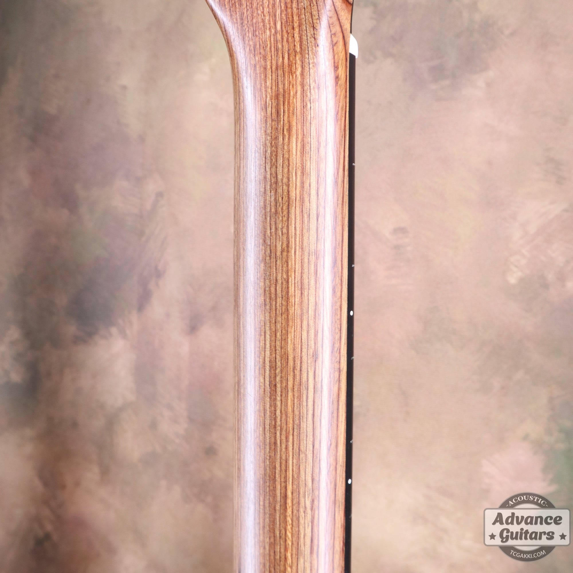 2019年製 DXM - TC楽器 - TCGAKKI