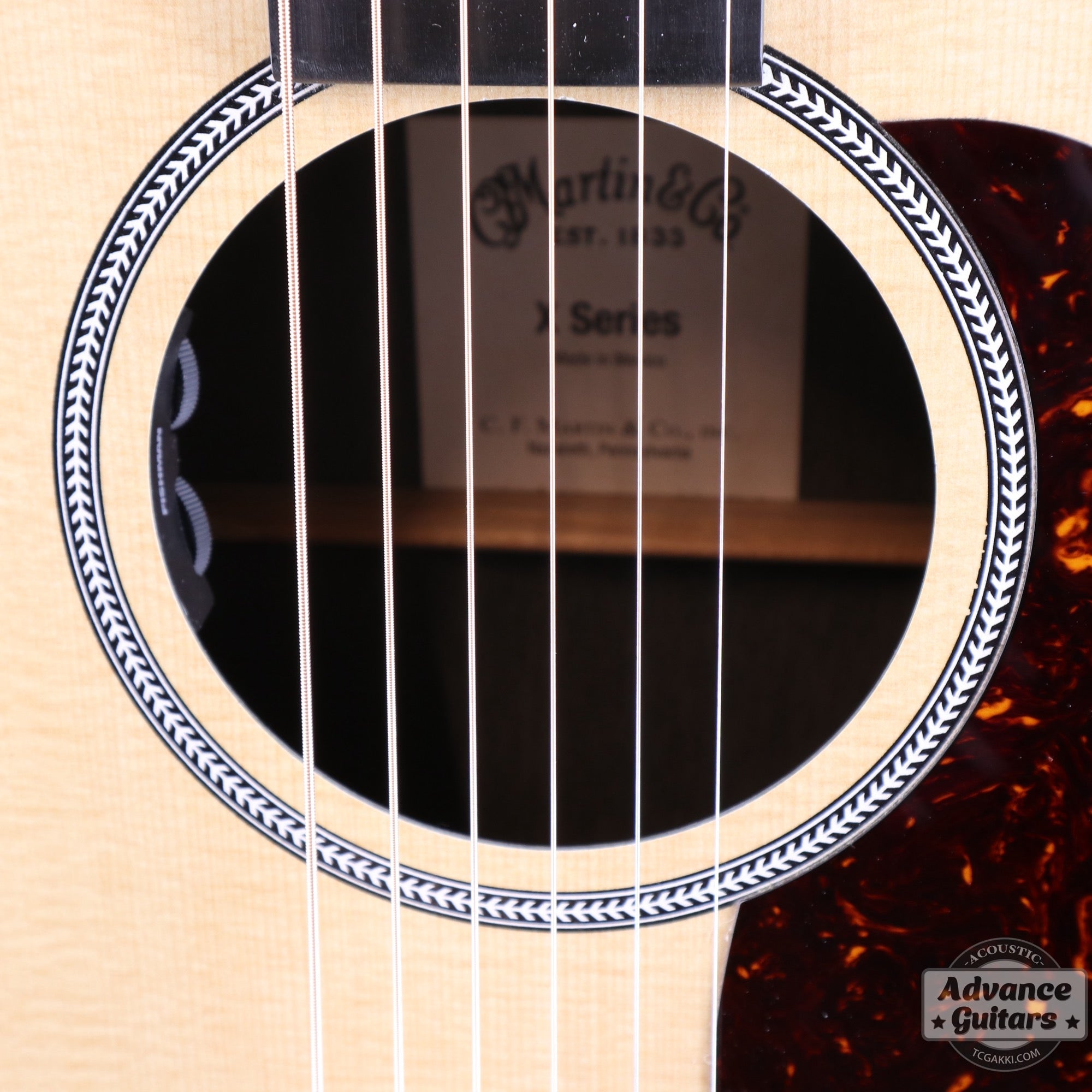 2019年製 DXM - TC楽器 - TCGAKKI