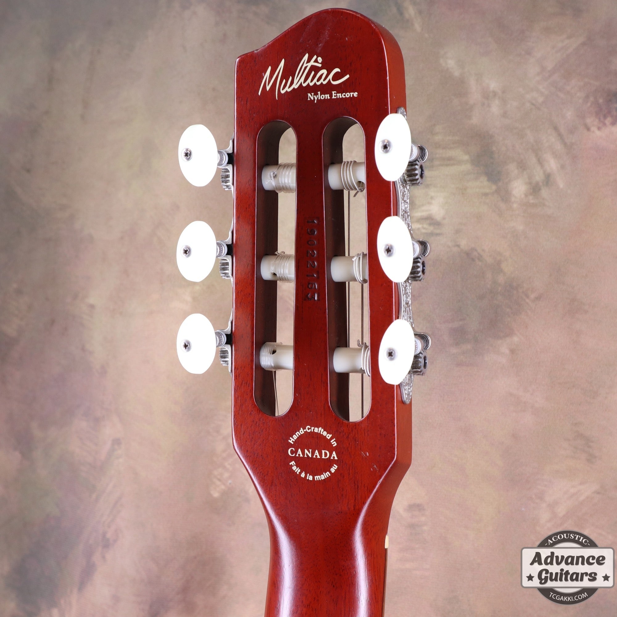 2019年製 Multiac Nylon Encore - TC楽器 - TCGAKKI