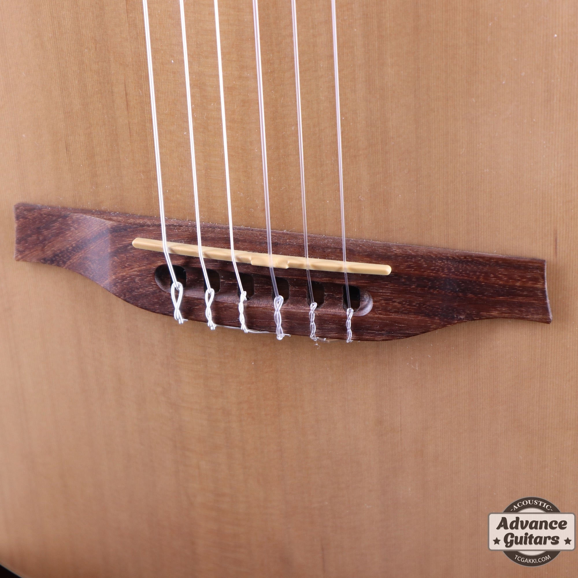 2019年製 Multiac Nylon Encore - TC楽器 - TCGAKKI