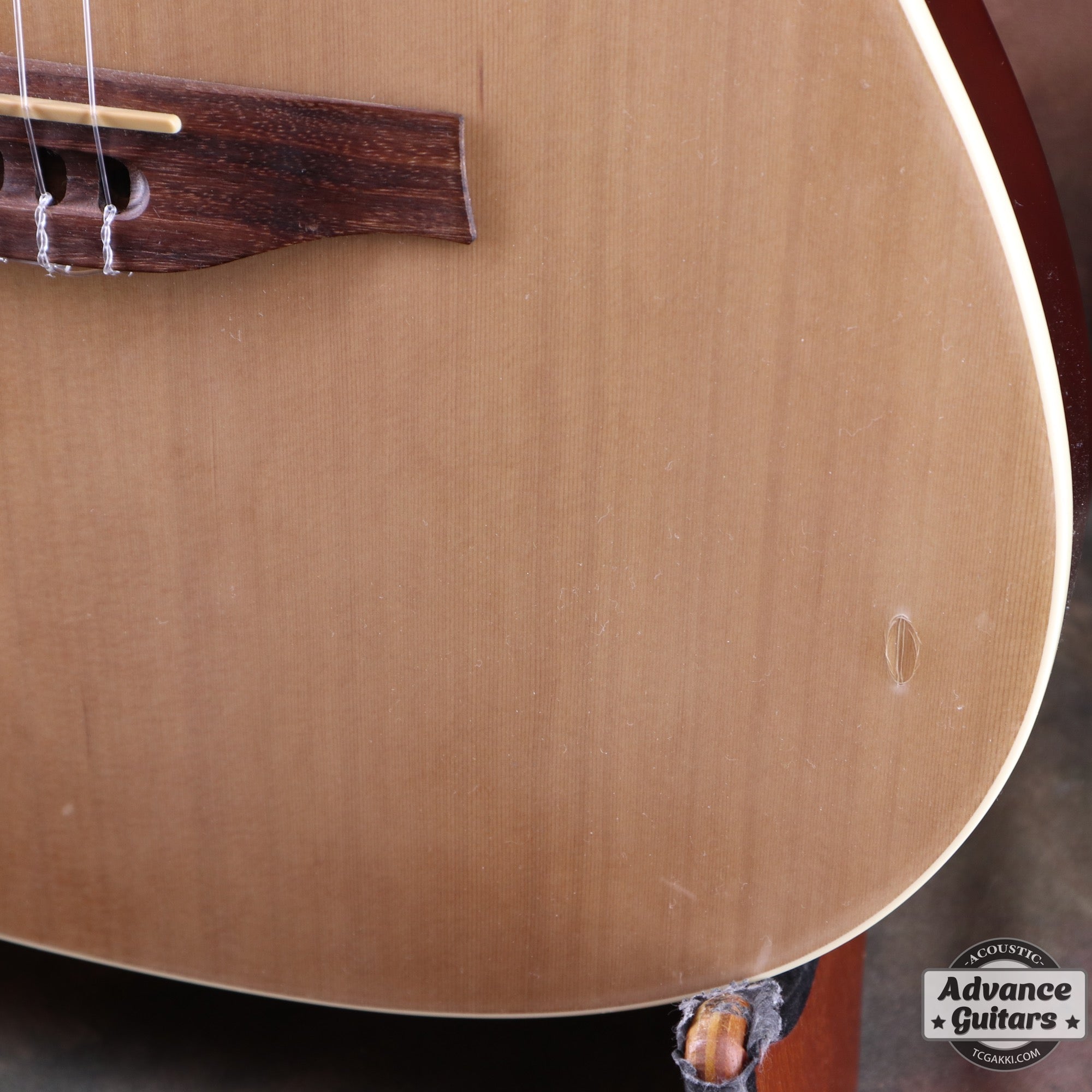 2019年製 Multiac Nylon Encore - TC楽器 - TCGAKKI