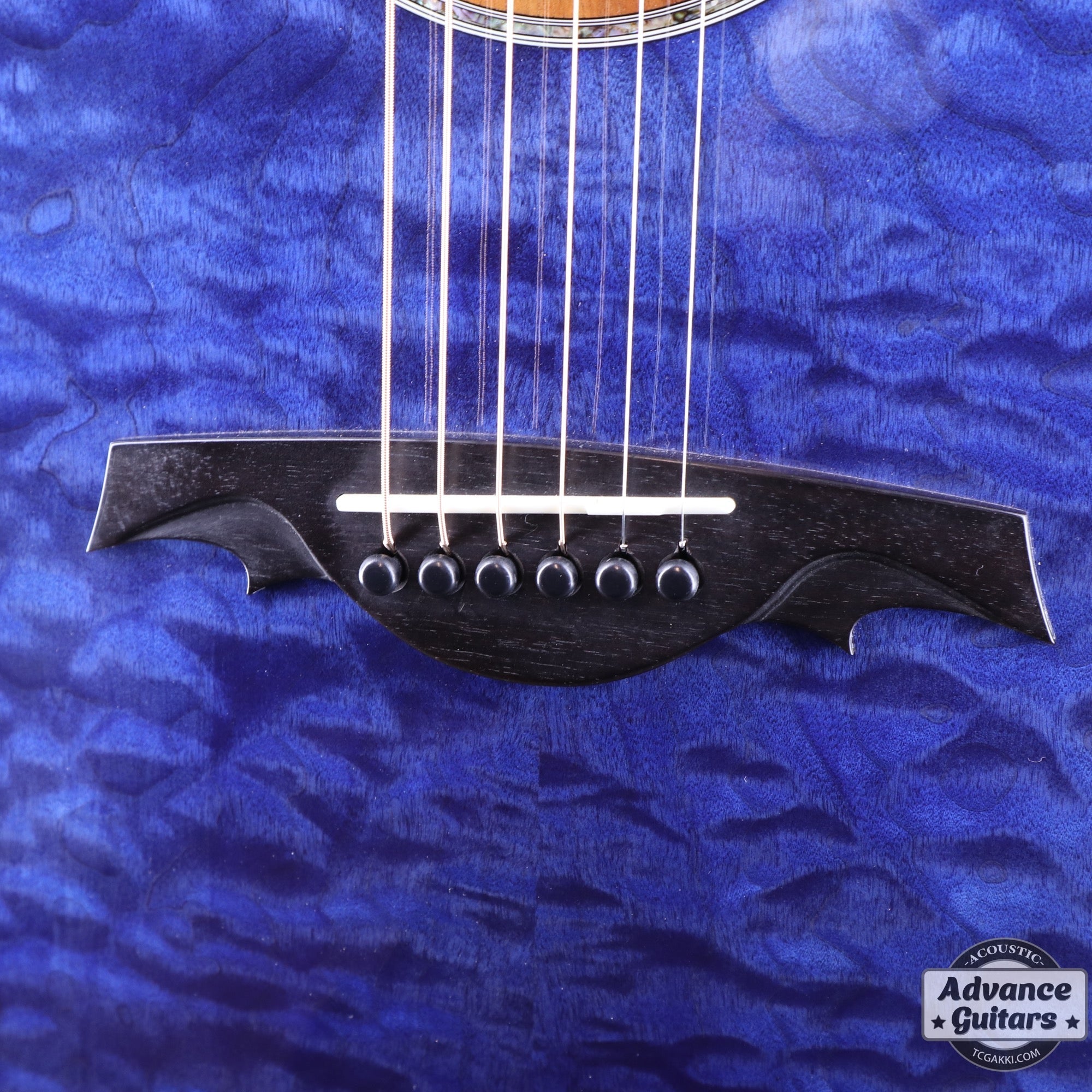 2019年製 SC - 143RD - TC楽器 - TCGAKKI