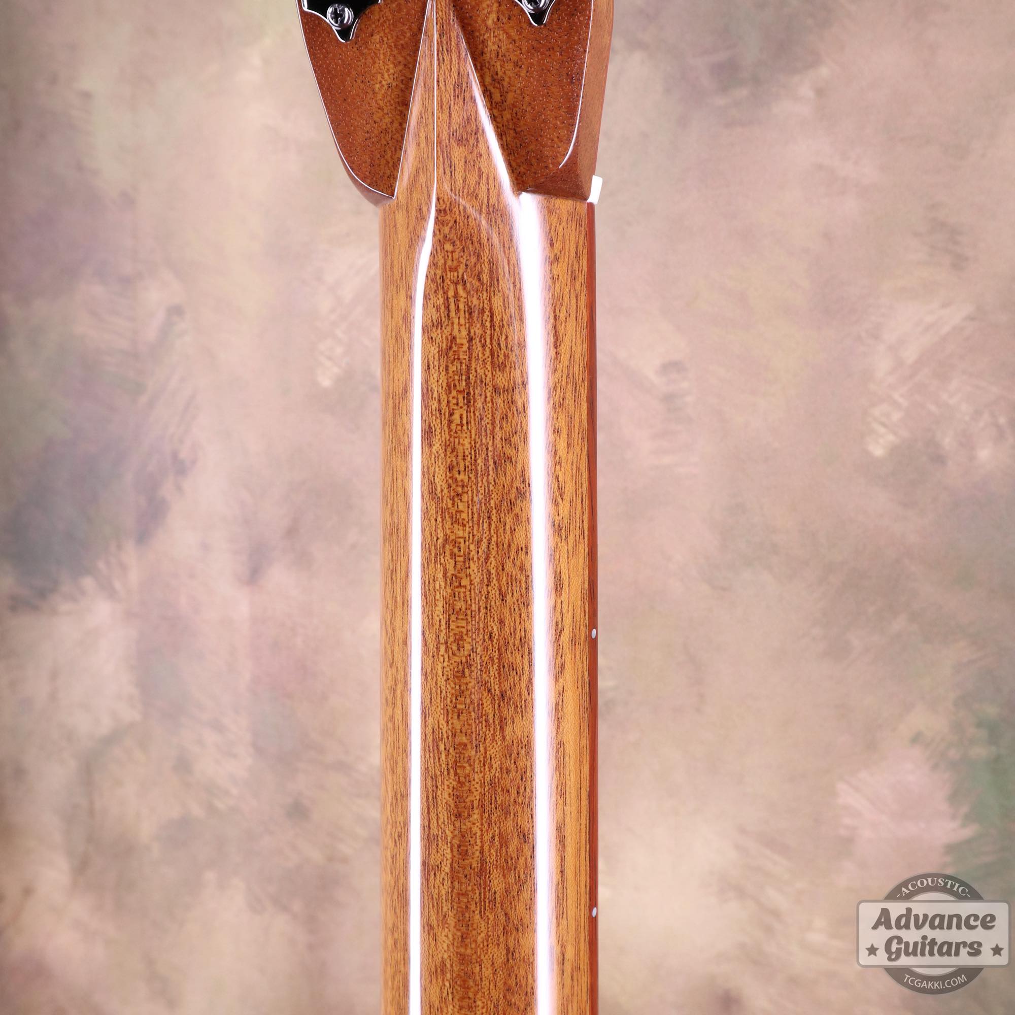 2020s EC EMBLEM CW 60TH ANNIVERSARY - TC楽器 - TCGAKKI