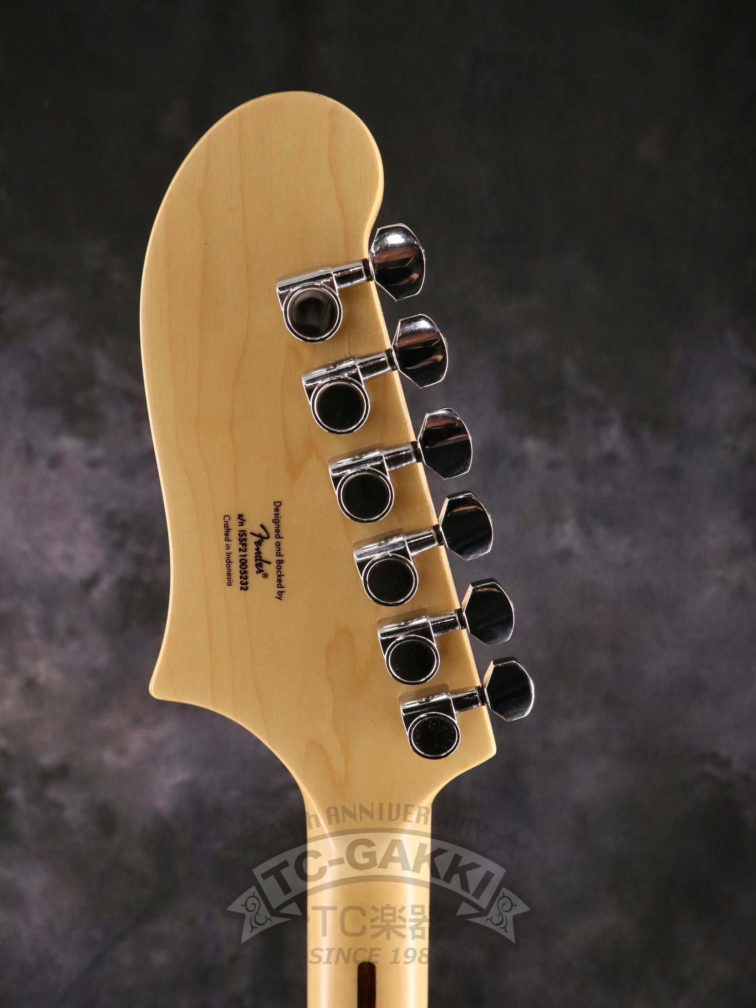 2021 Affinity Series STARCASTER - TC楽器 - TCGAKKI